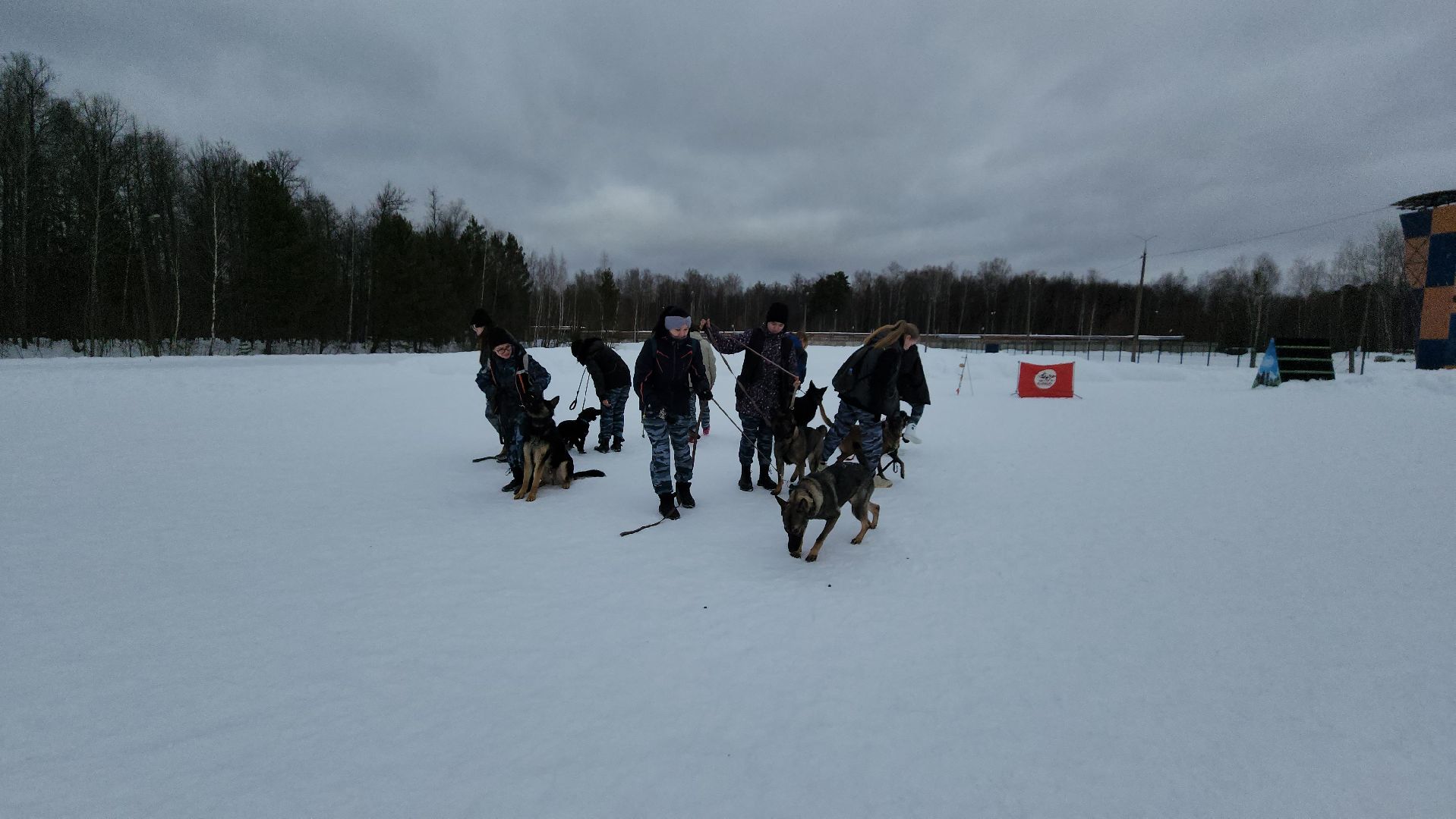 протвино, кинологи, губернский колледж, образование, образование подмосковья,