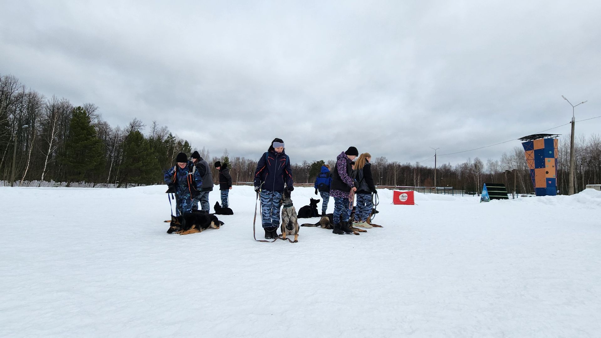 протвино, кинологи, губернский колледж, образование, образование подмосковья,