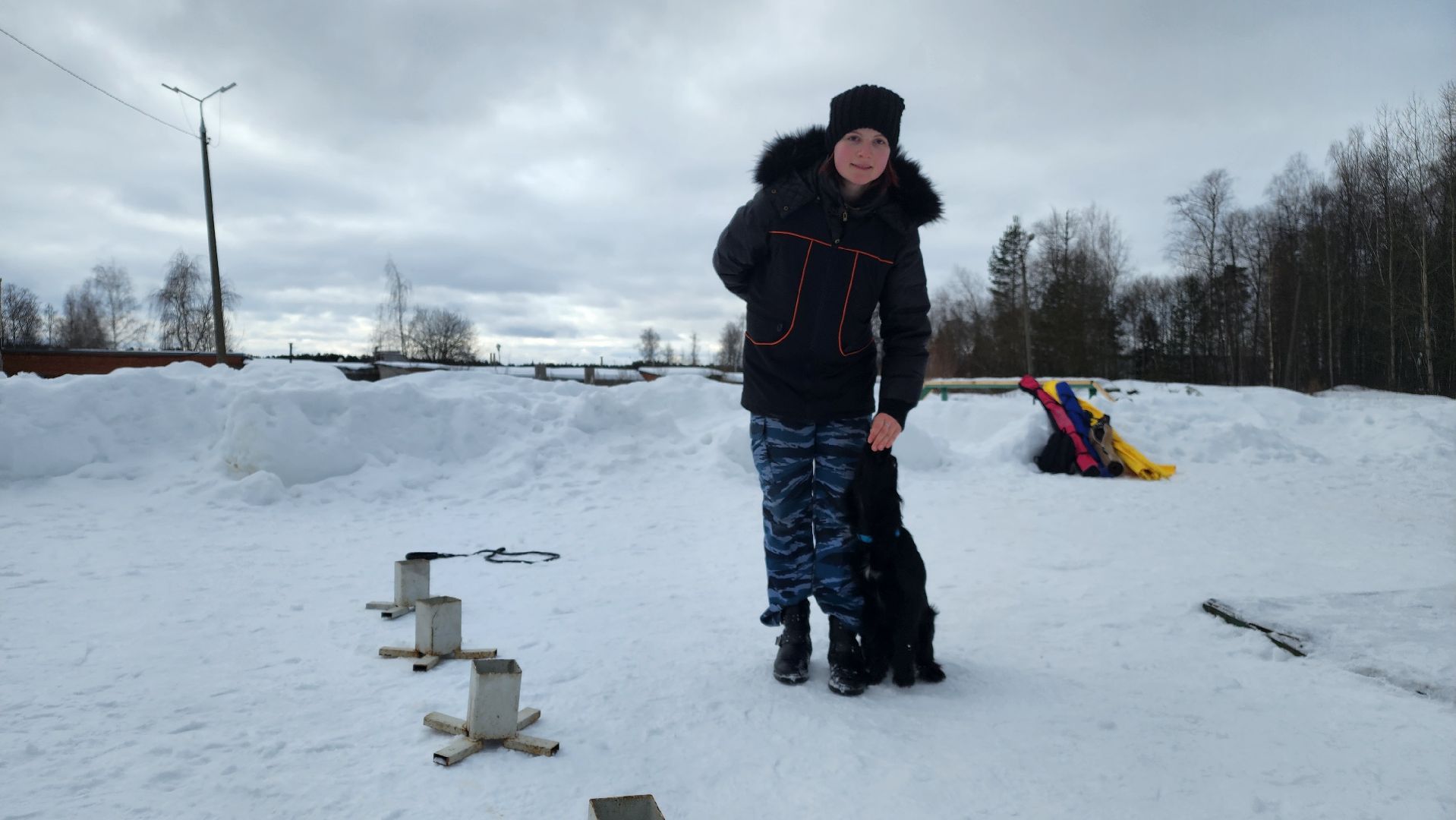 протвино, кинологи, губернский колледж, образование, образование подмосковья,