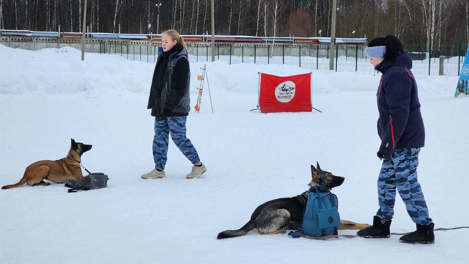 протвино, кинологи, губернский колледж, образование, образование подмосковья,