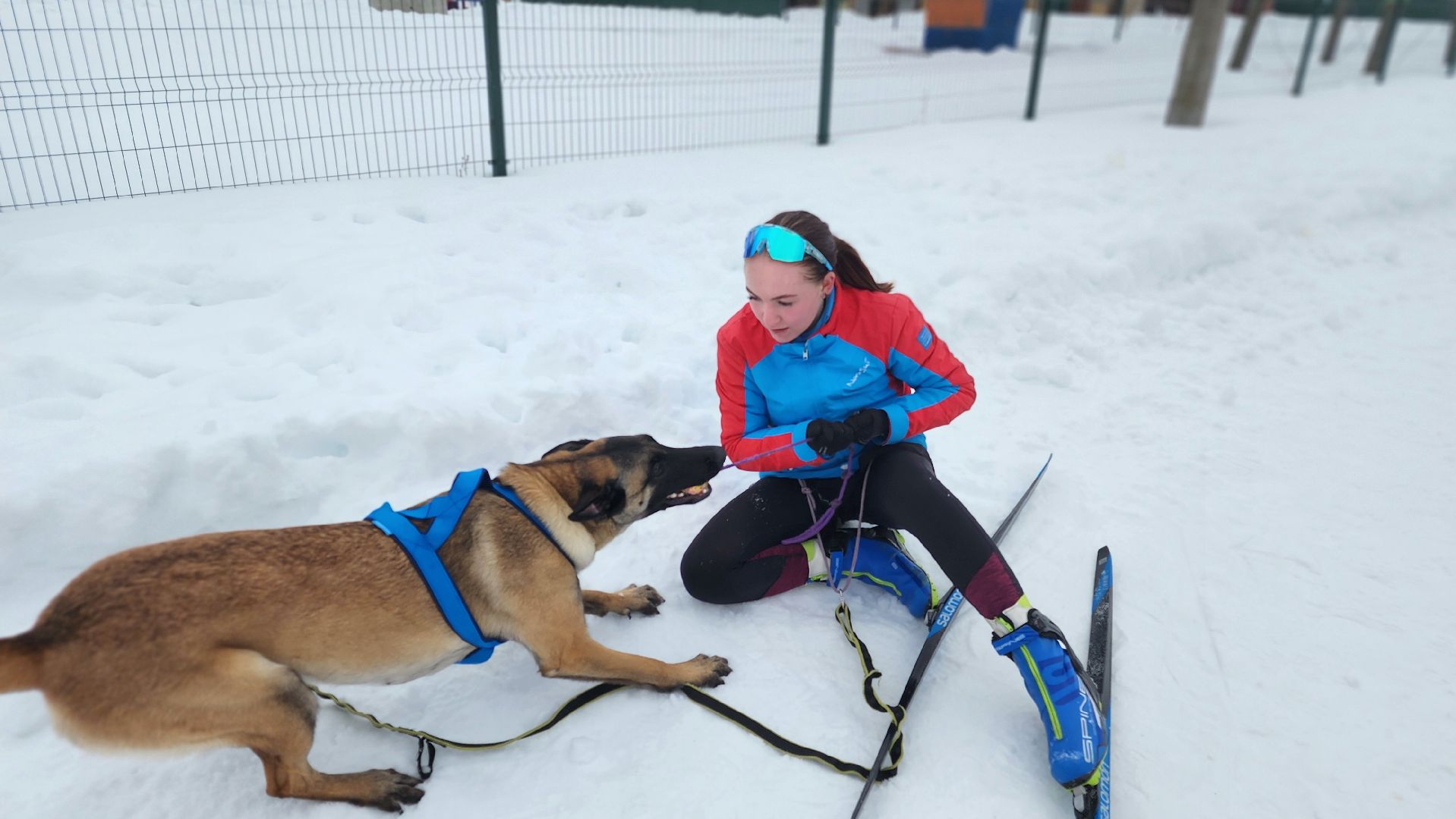 протвино, кинологи, губернский колледж, образование, образование подмосковья,