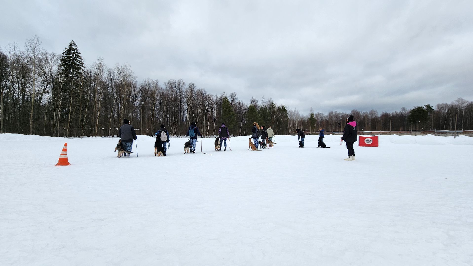 протвино, кинологи, губернский колледж, образование, образование подмосковья,