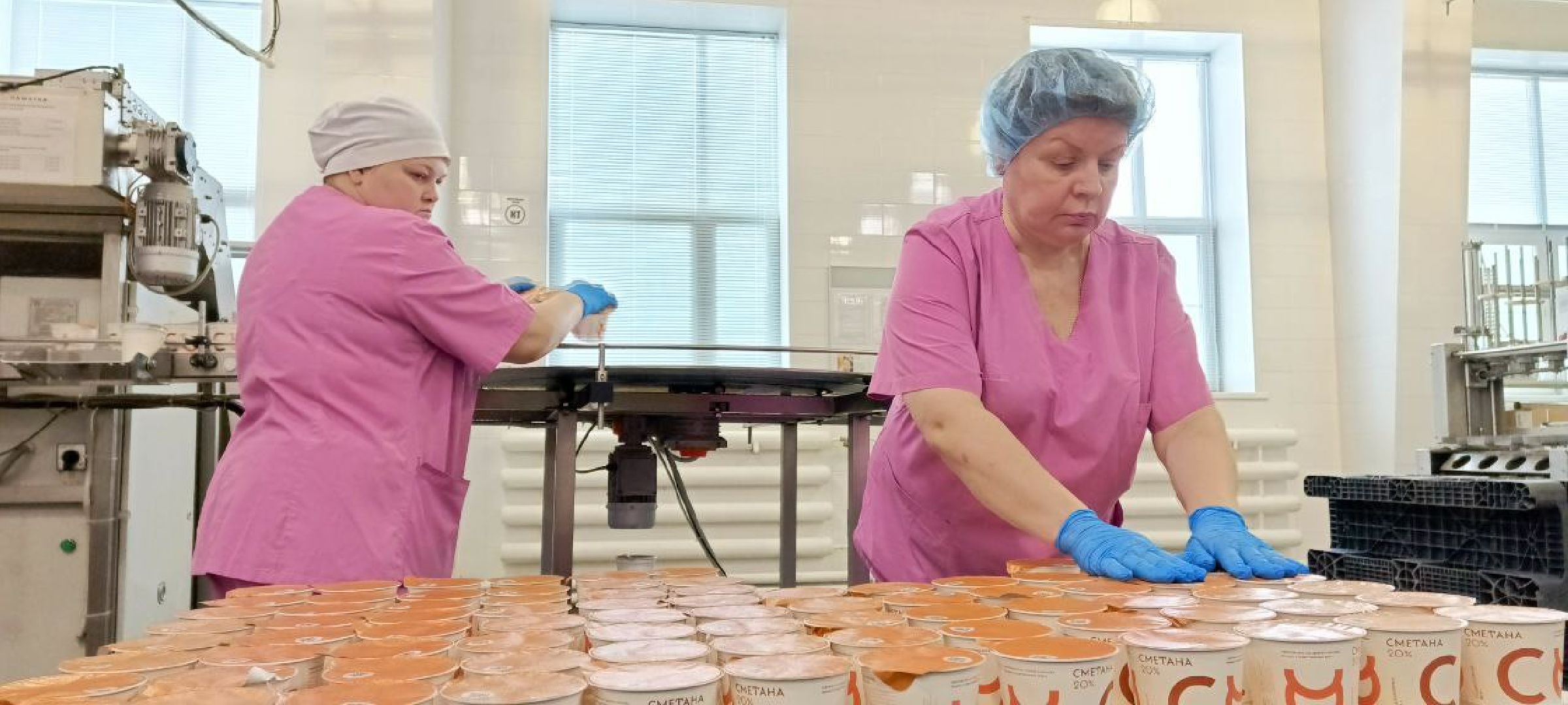 Дмитров, Молокозавод братьев Чебурашкиных, Минсельхоз,