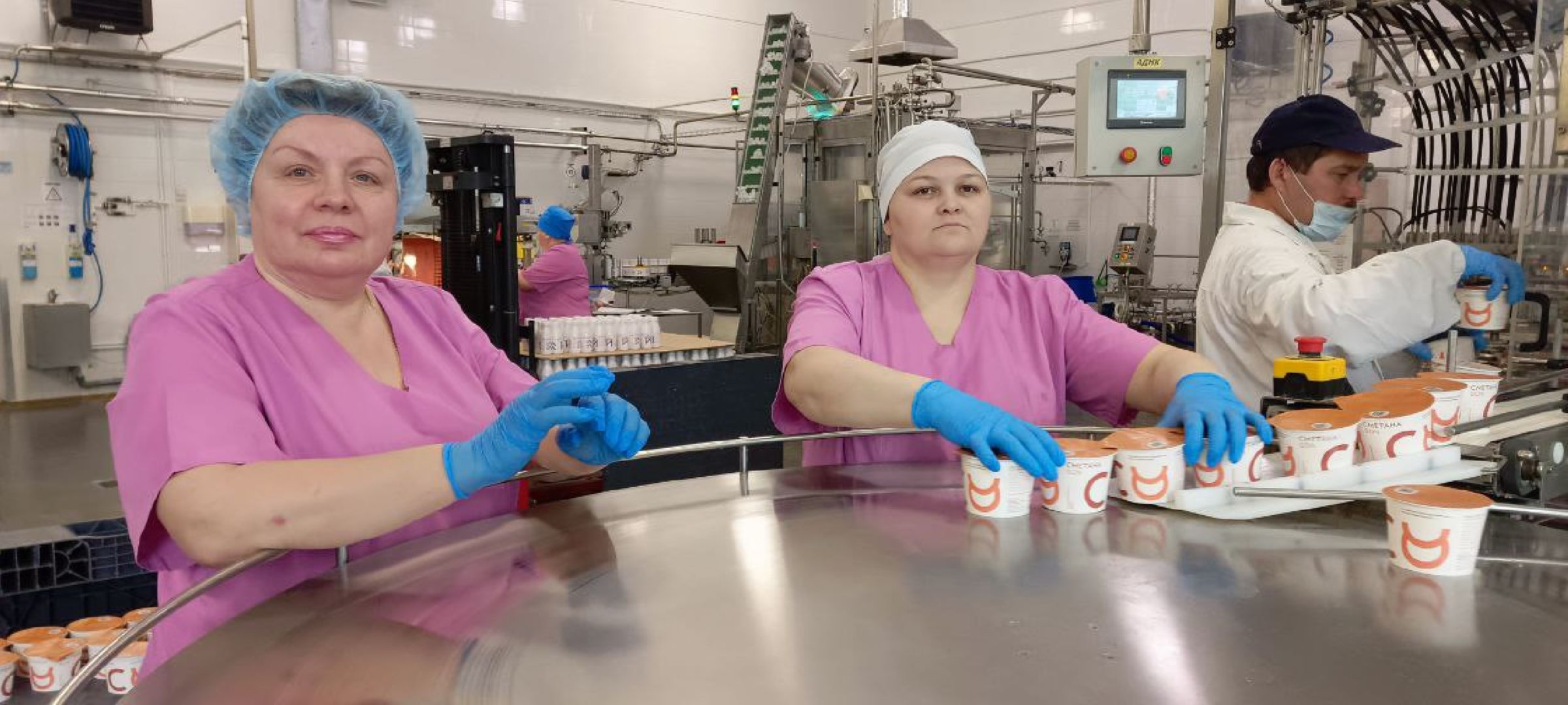 Дмитров, Молокозавод братьев Чебурашкиных, Минсельхоз,