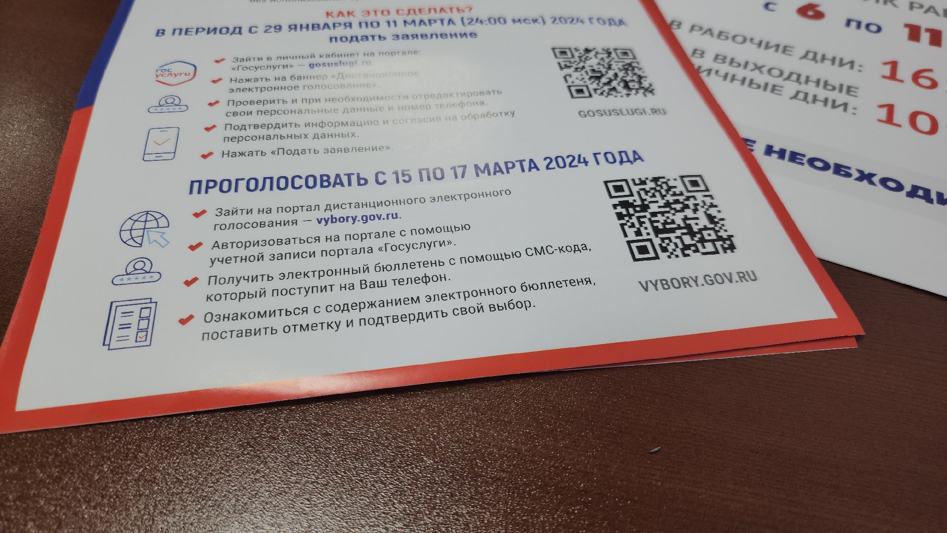 информаторы, выборы 2024, выборы президента 2024, голосование, руза, рузский городской округ, московская область,