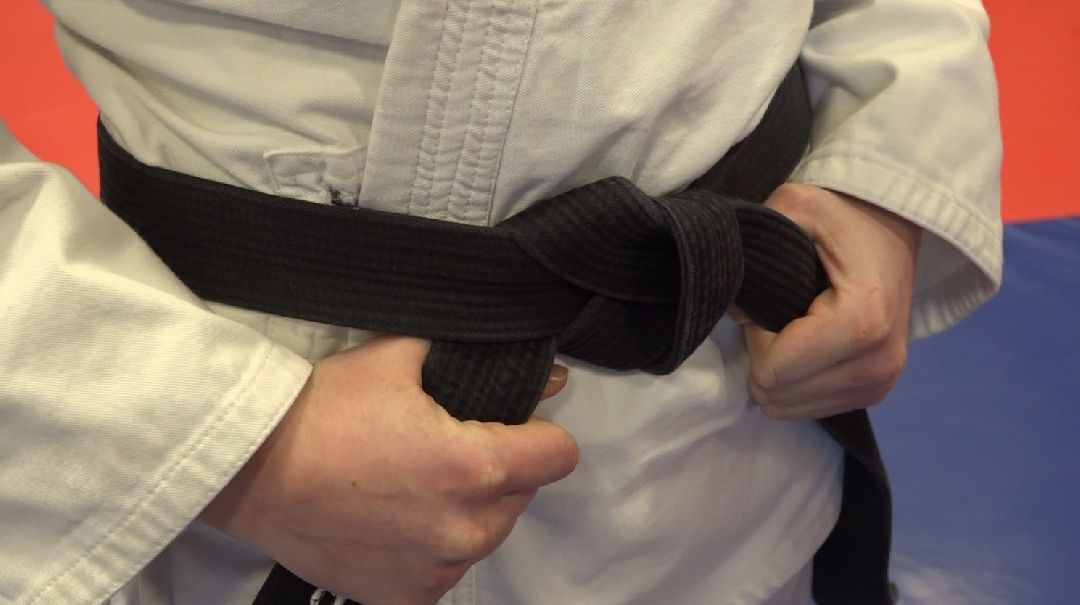 стадион Авангард, рукопашный бой, Домодедово