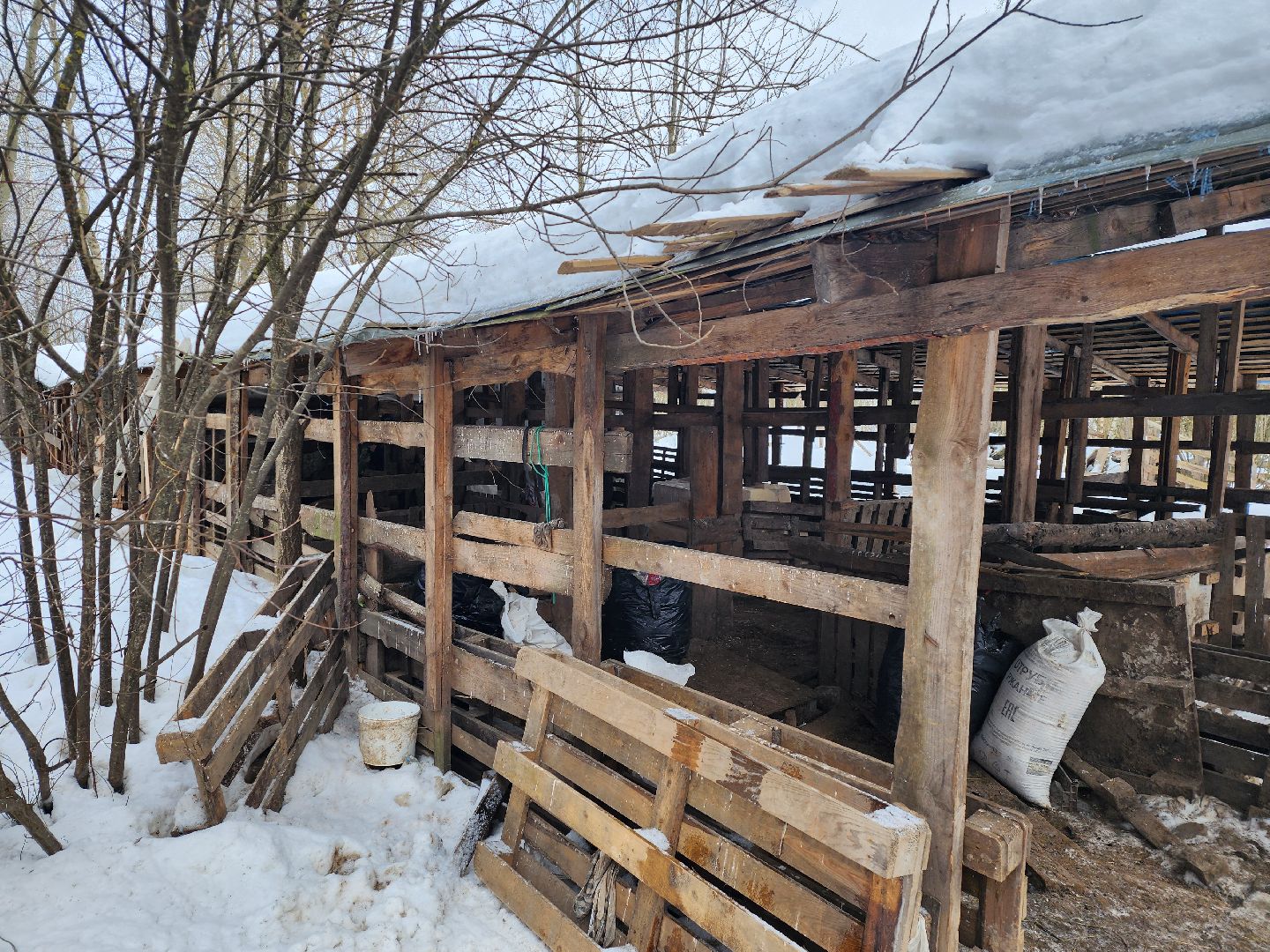 Серпухов, Подмосковье, ферма, свиньи, мусор,