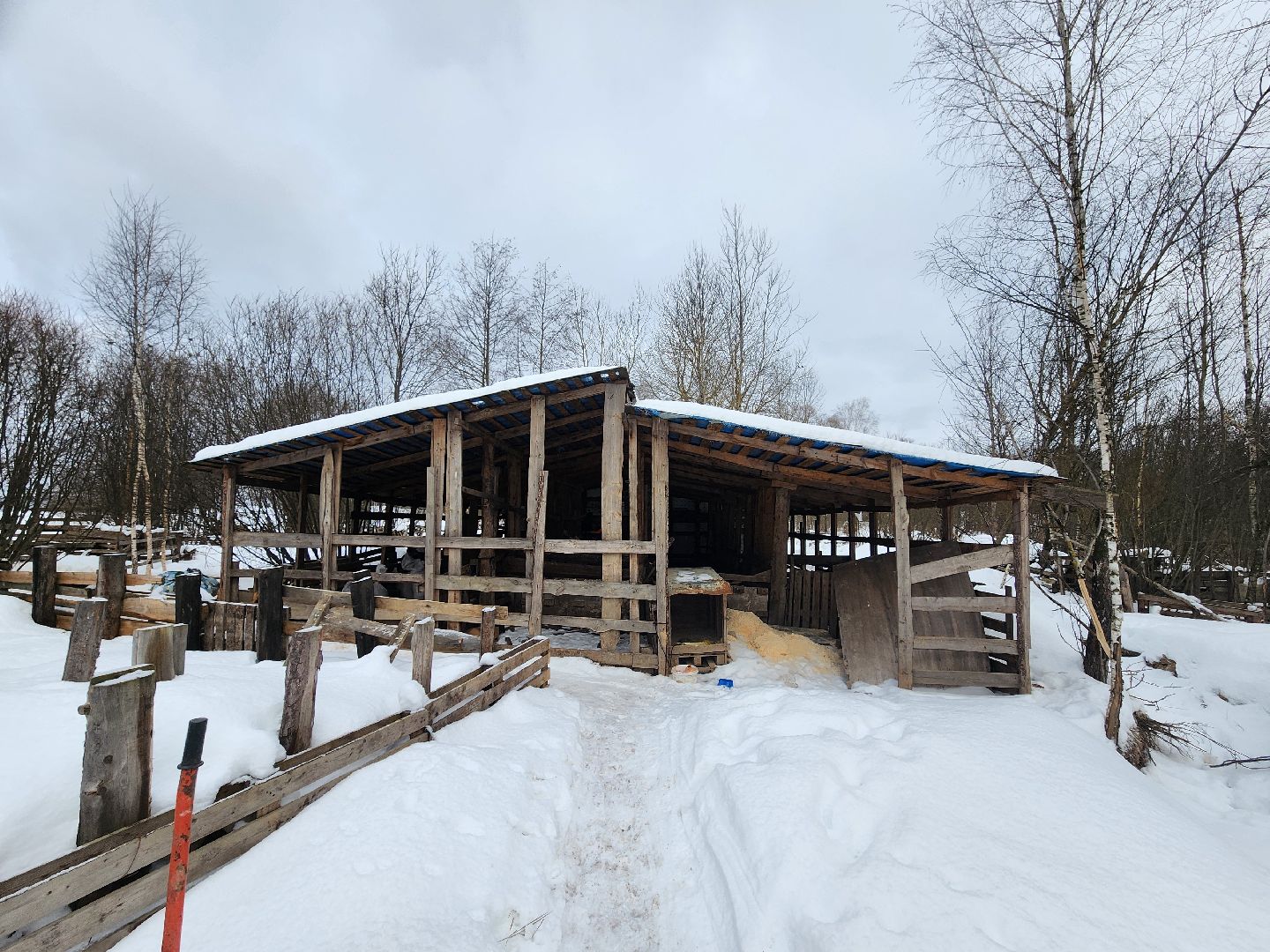 Серпухов, Подмосковье, ферма, свиньи, мусор,