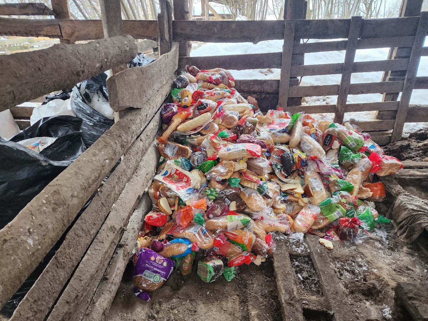 Серпухов, Подмосковье, ферма, свиньи, мусор,