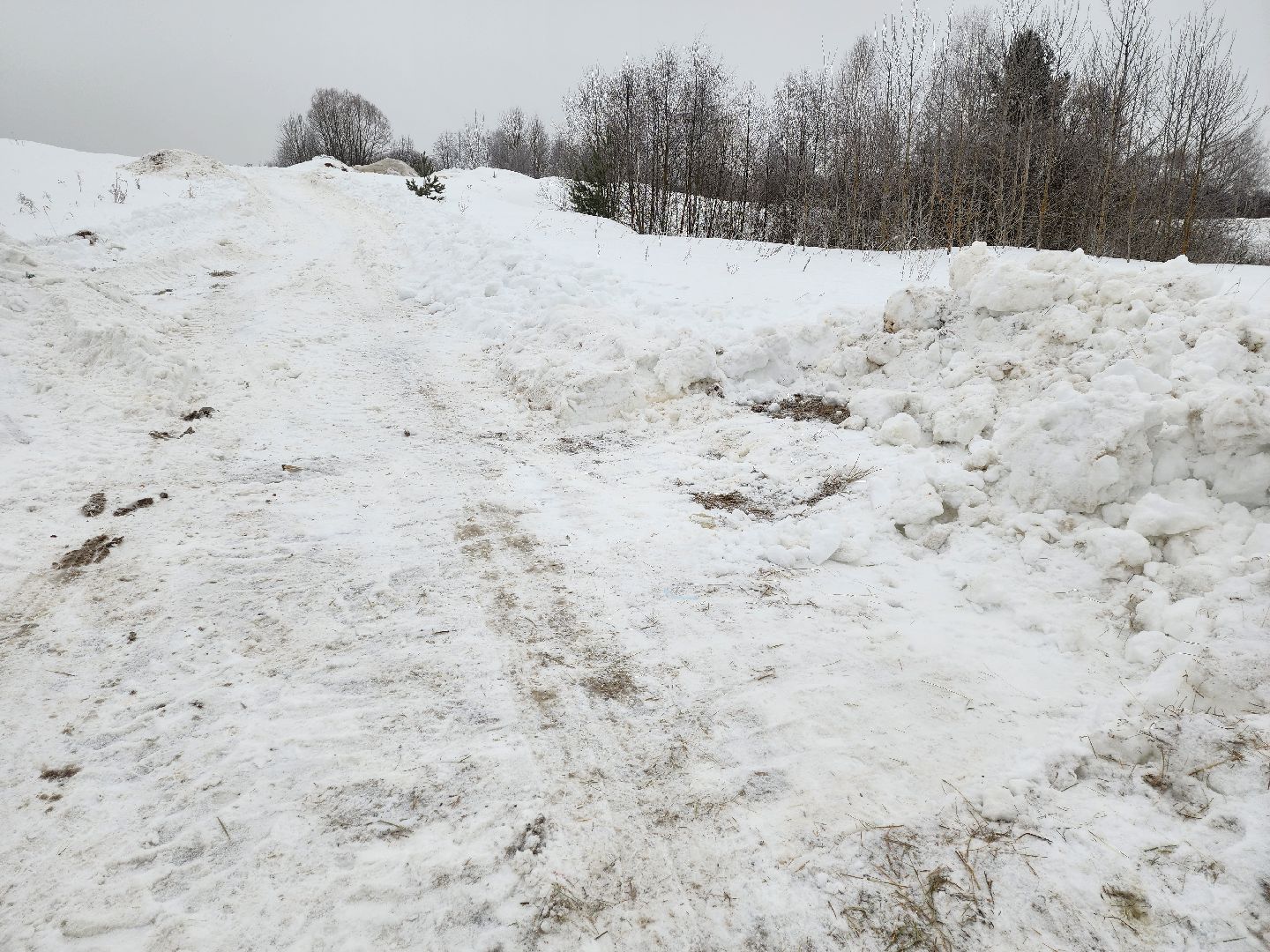 Серпухов, Подмосковье, ферма, свиньи, мусор,