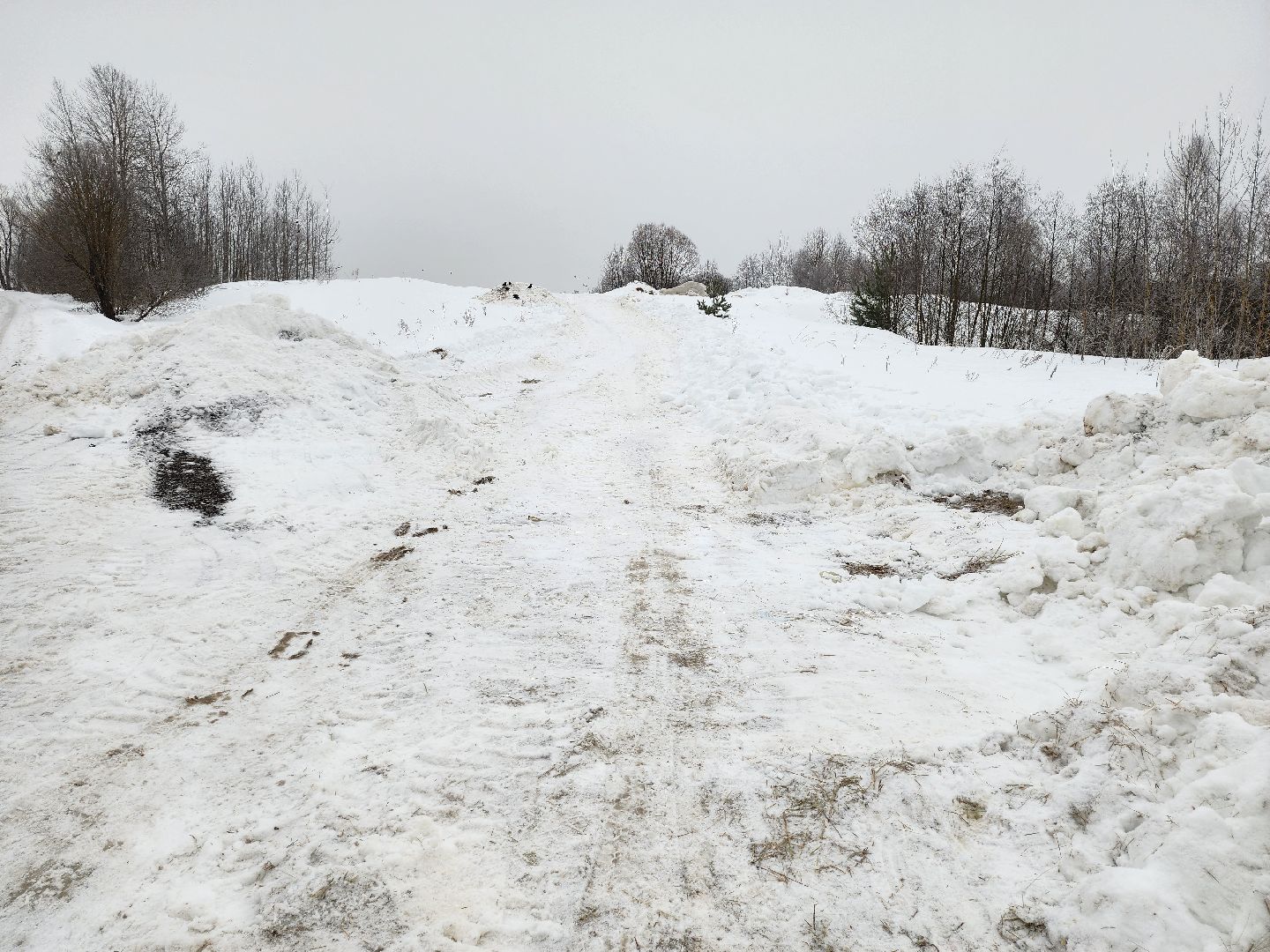 Серпухов, Подмосковье, ферма, свиньи, мусор,