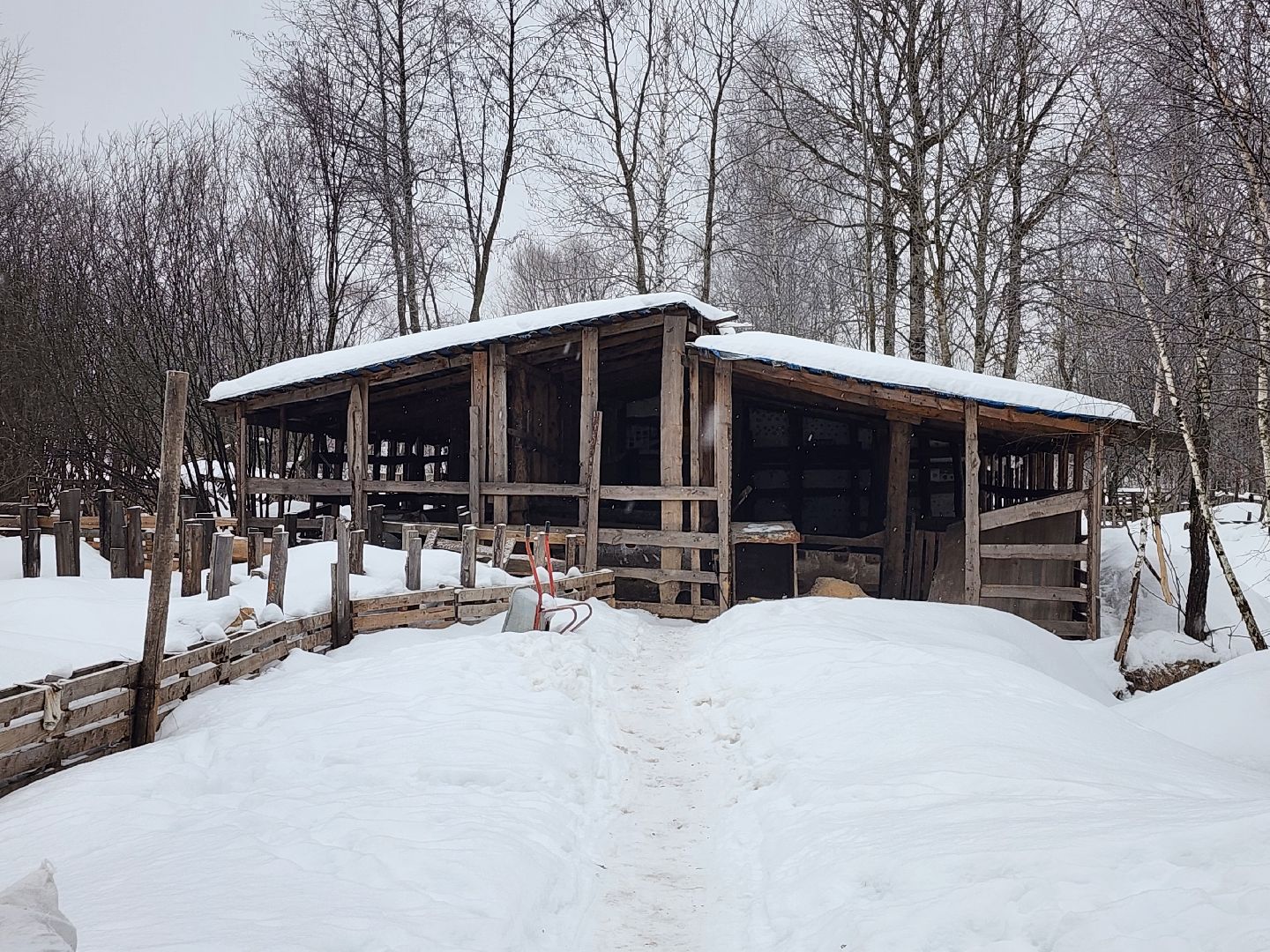 Серпухов, Подмосковье, ферма, свиньи, мусор,