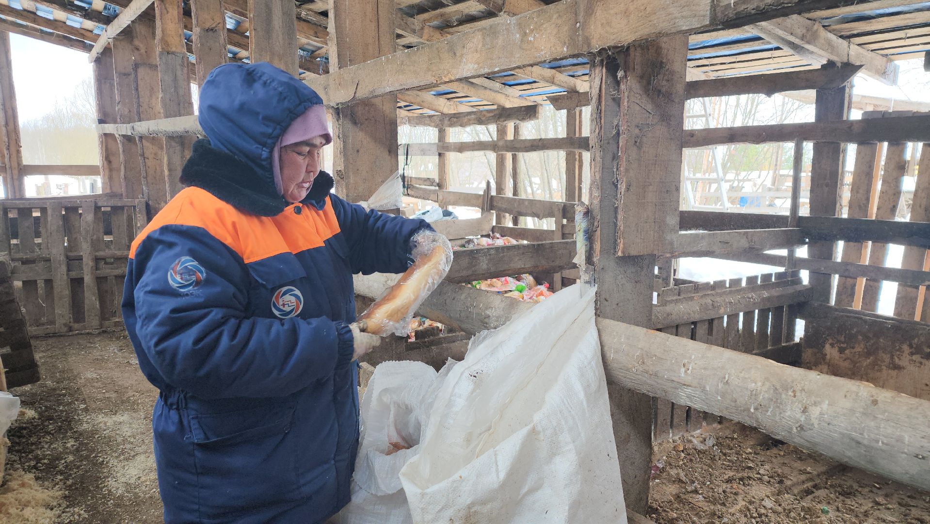 Серпухов, Подмосковье, ферма, свиньи, мусор,