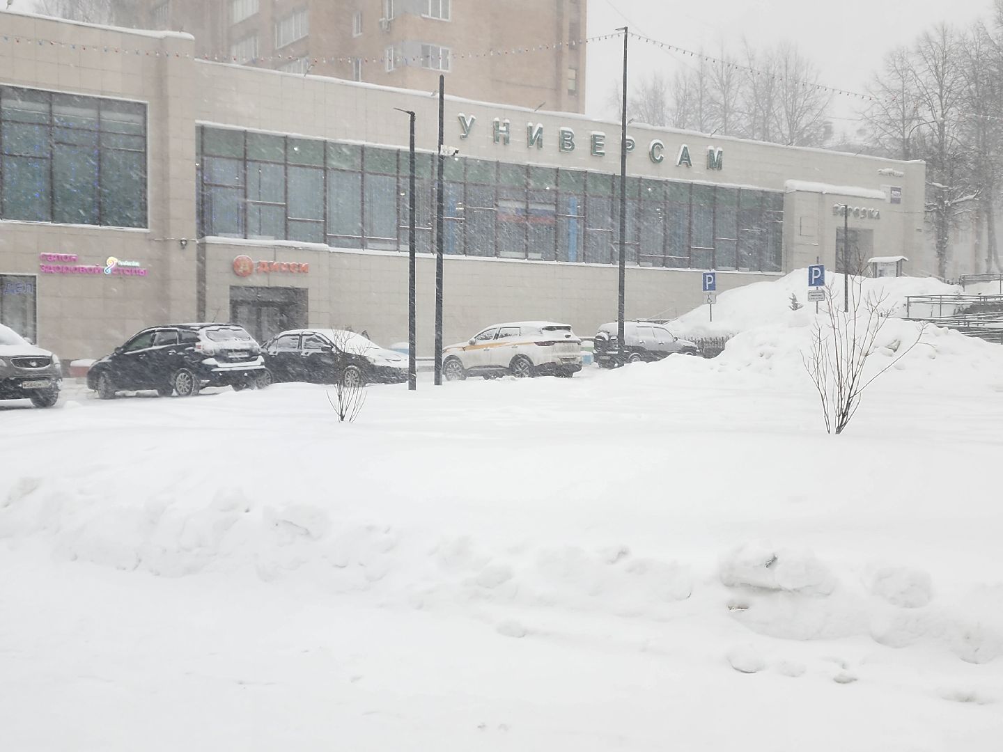 красноармейск, г.о. пушкинский, снегопад, циклон ольга,