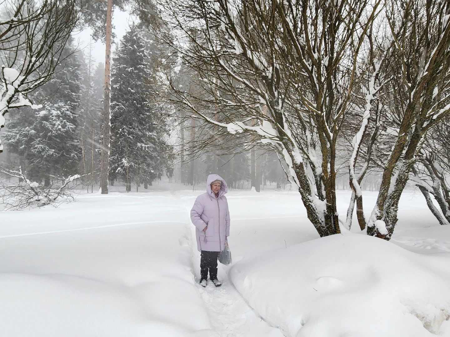 красноармейск, г.о. пушкинский, снегопад, циклон ольга,