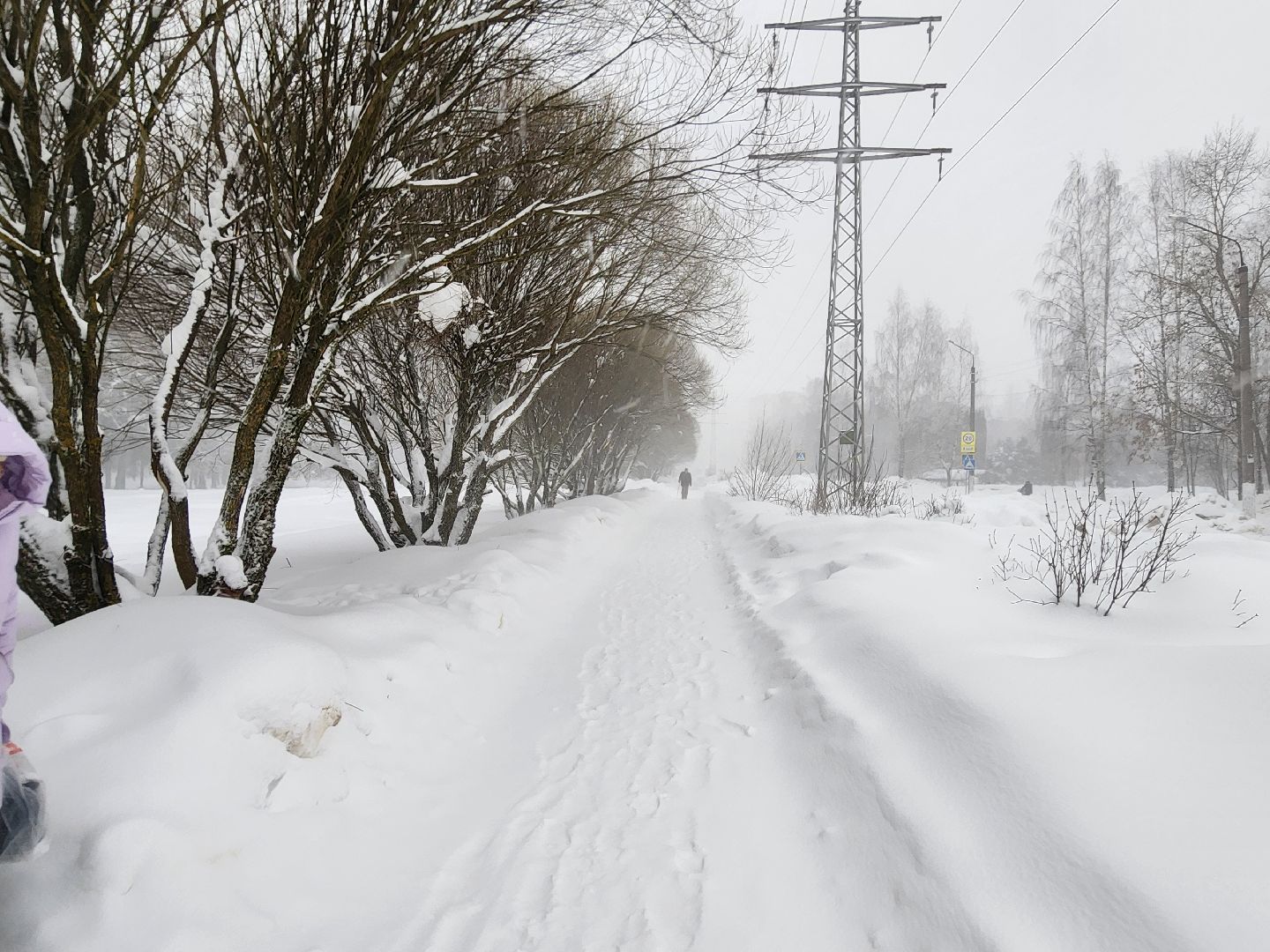 красноармейск, г.о. пушкинский, снегопад, циклон ольга,