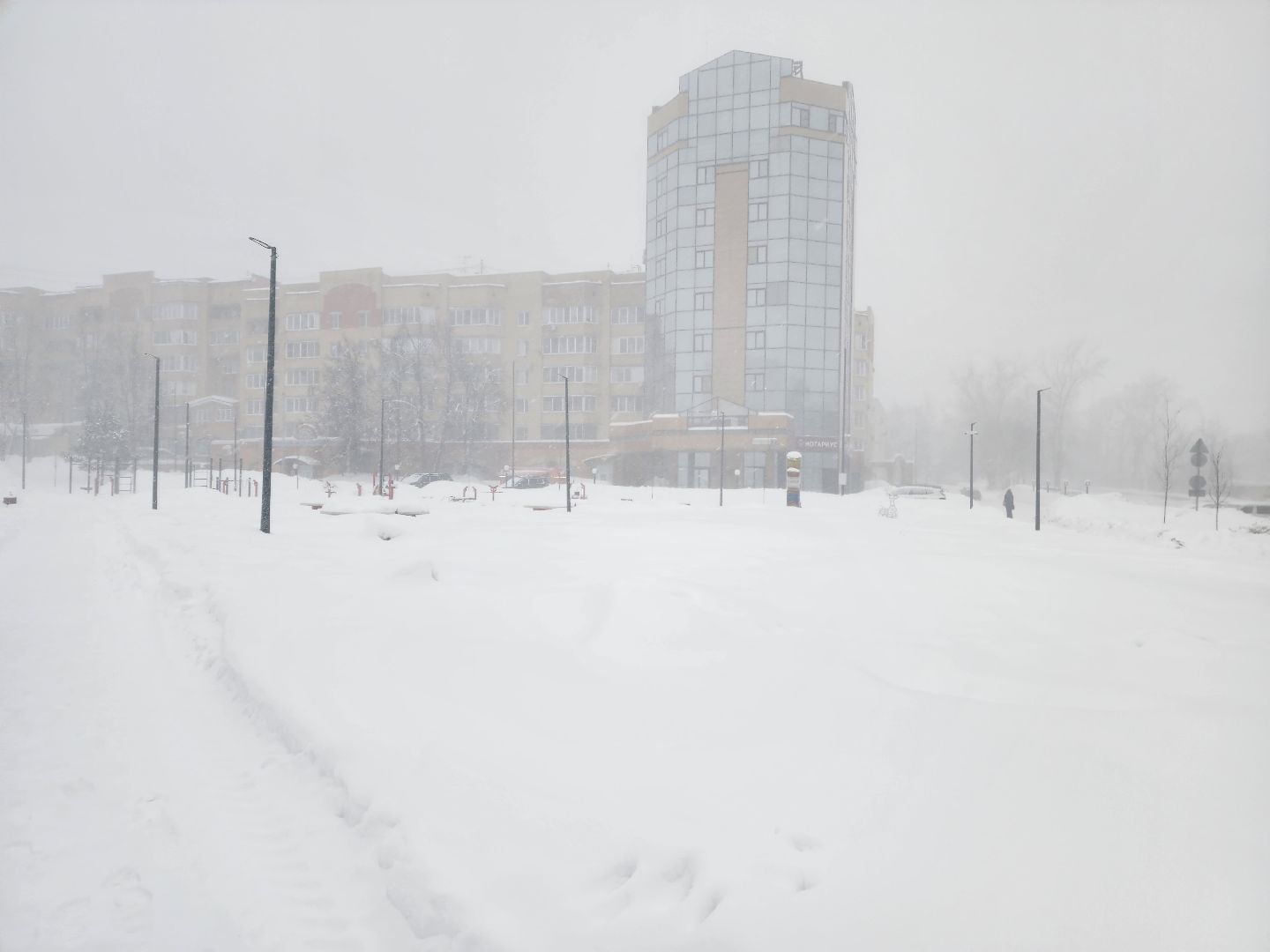 красноармейск, г.о. пушкинский, снегопад, циклон ольга,