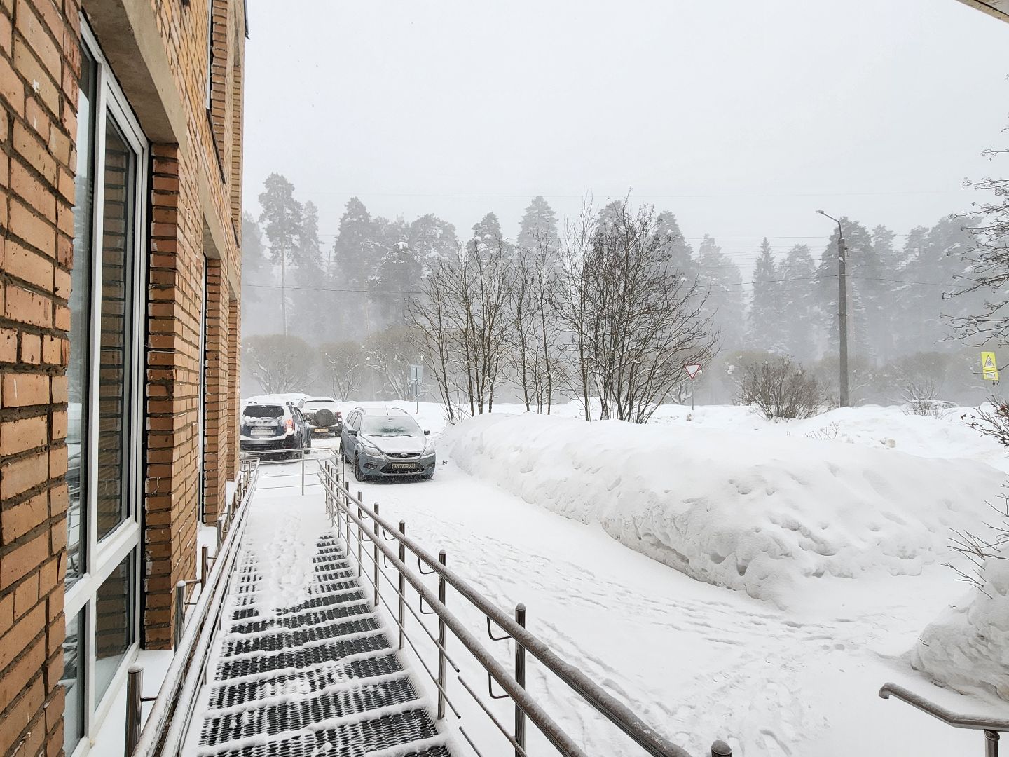 красноармейск, г.о. пушкинский, снегопад, циклон ольга,