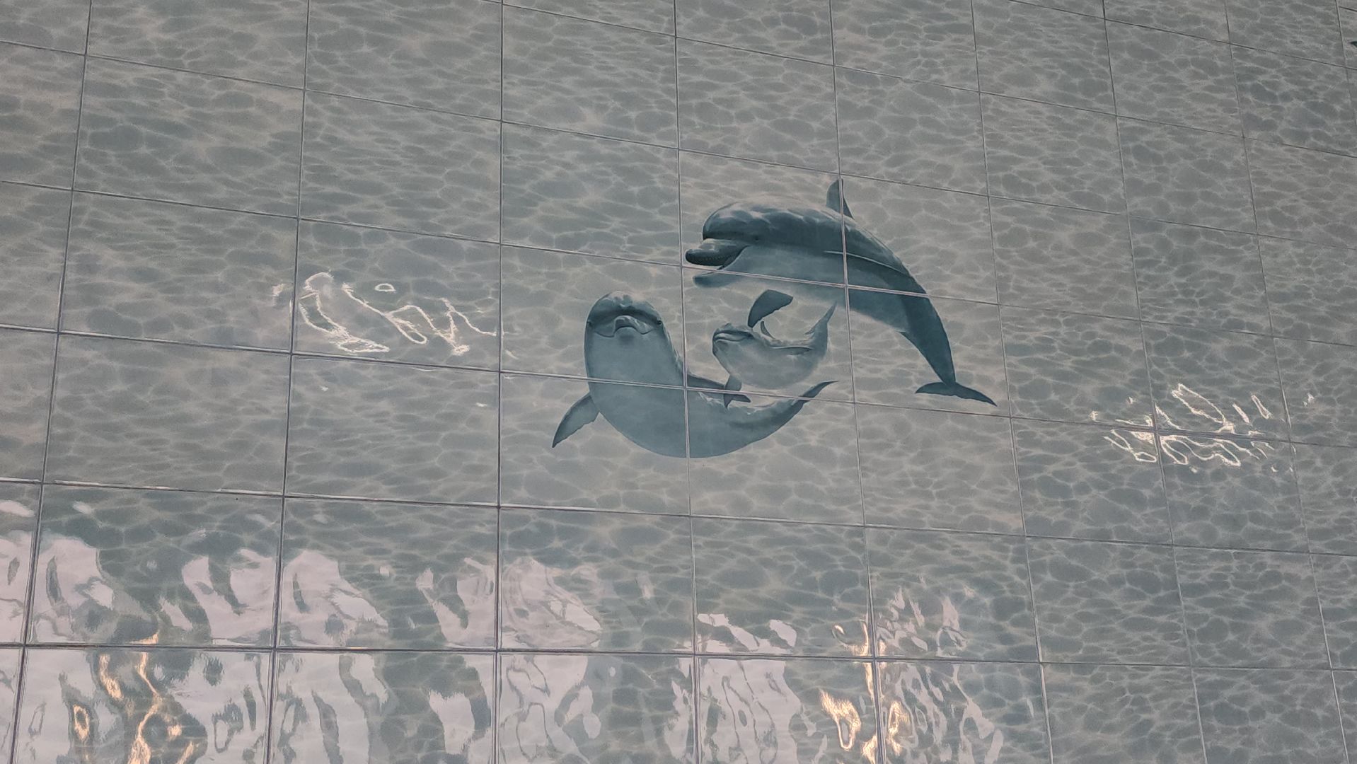 городские бани, серпухов, улица театральная, реконструкция, ремонт,