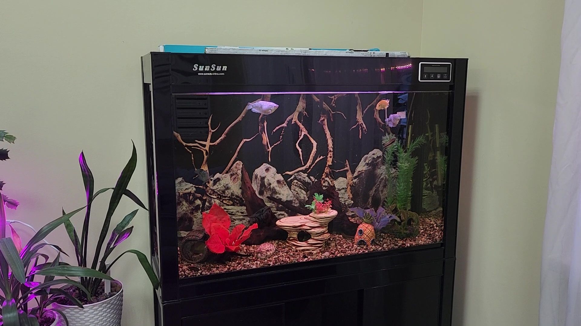 Реутов, ЖКХ, ремонт подъезда, плитка на стенах, жители выбирают,