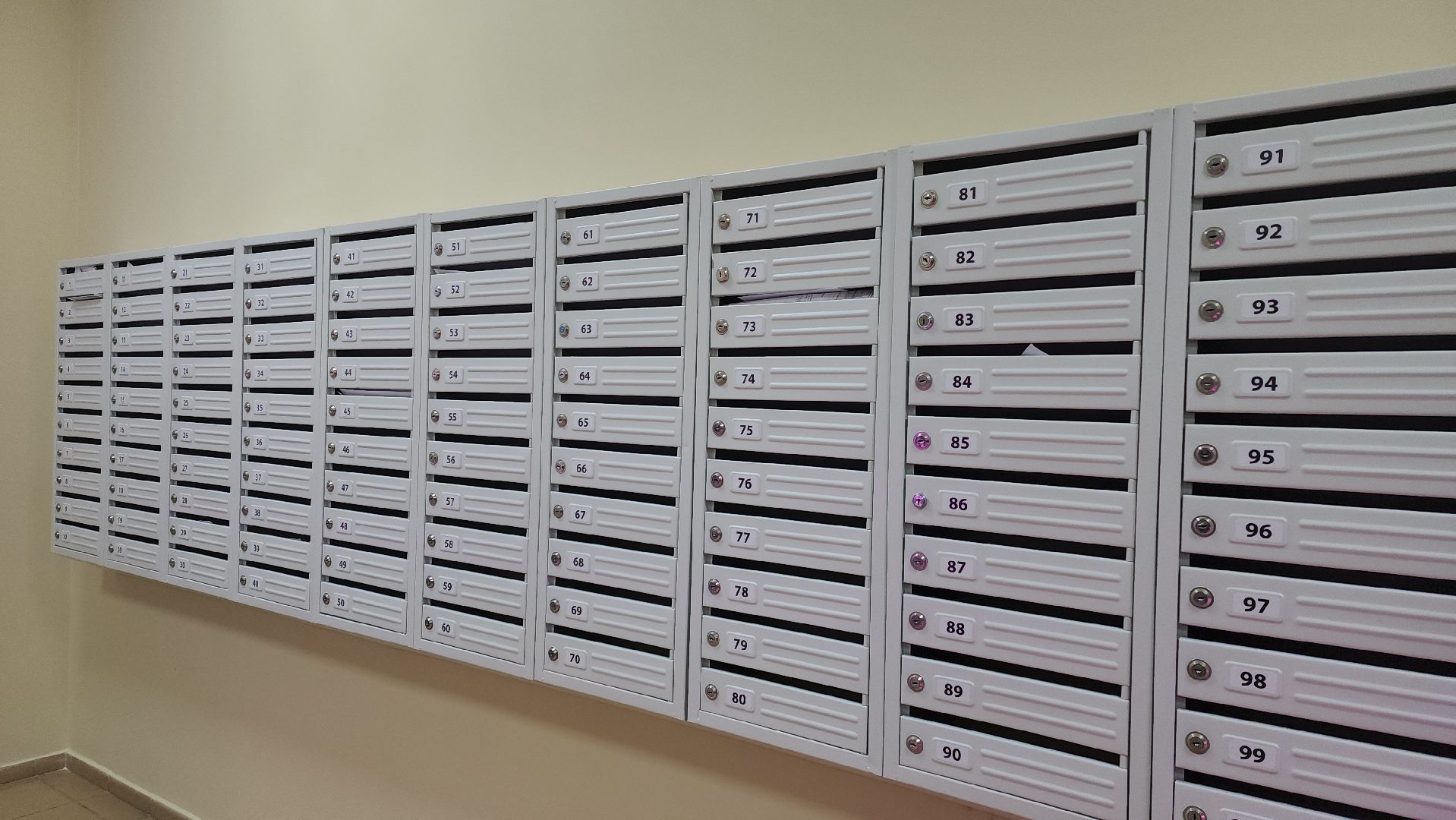 Реутов, ЖКХ, ремонт подъезда, плитка на стенах, жители выбирают,