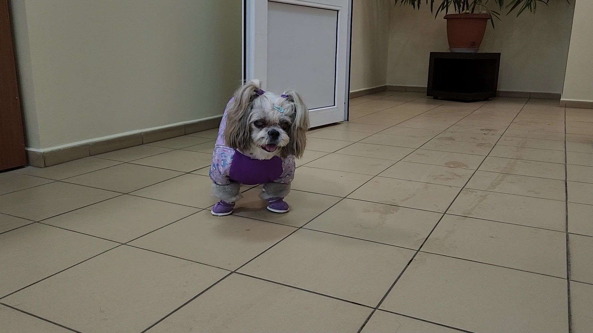 Реутов, ЖКХ, ремонт подъезда, плитка на стенах, жители выбирают,