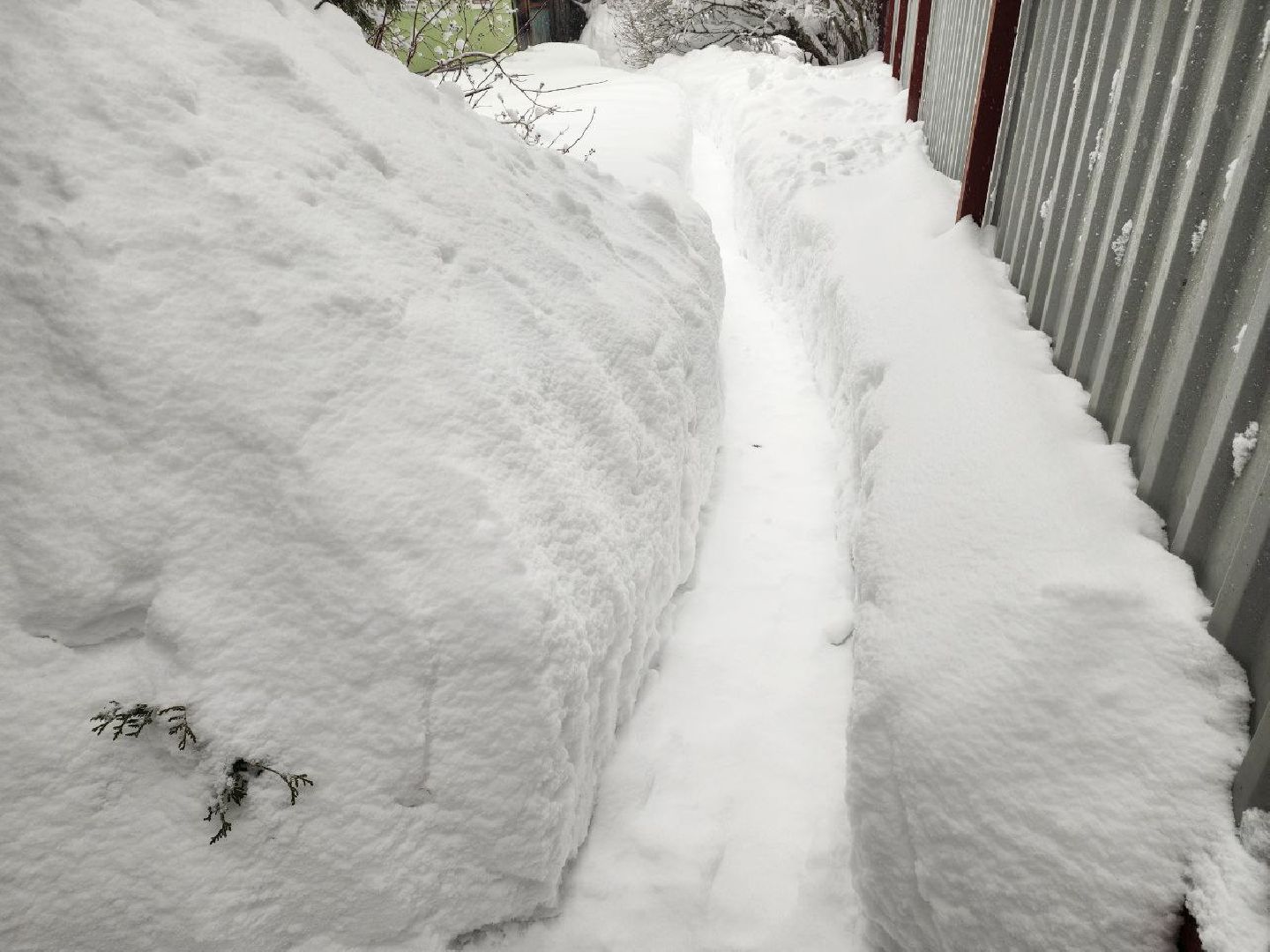 Солнечногорск, Уборка снега, Снегопад, Жители, Лопаты,