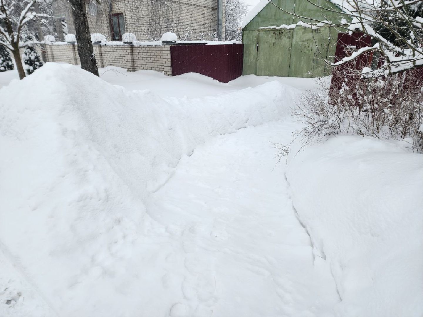 Солнечногорск, Уборка снега, Снегопад, Жители, Лопаты,