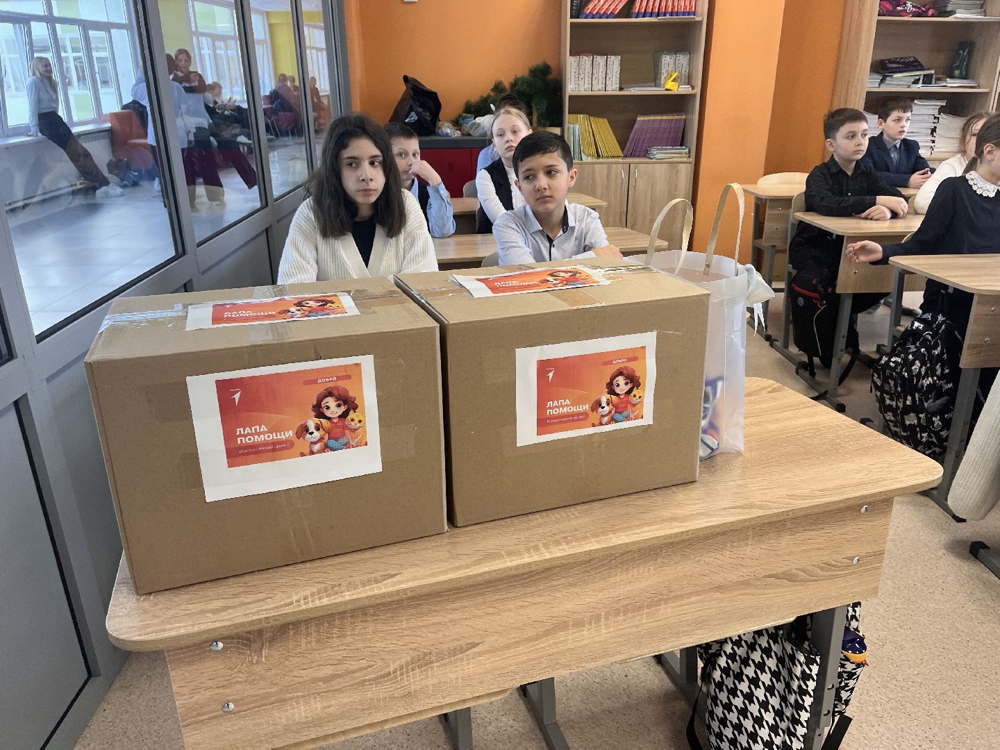 шаховская, приют, приют для животных, можайский приют,