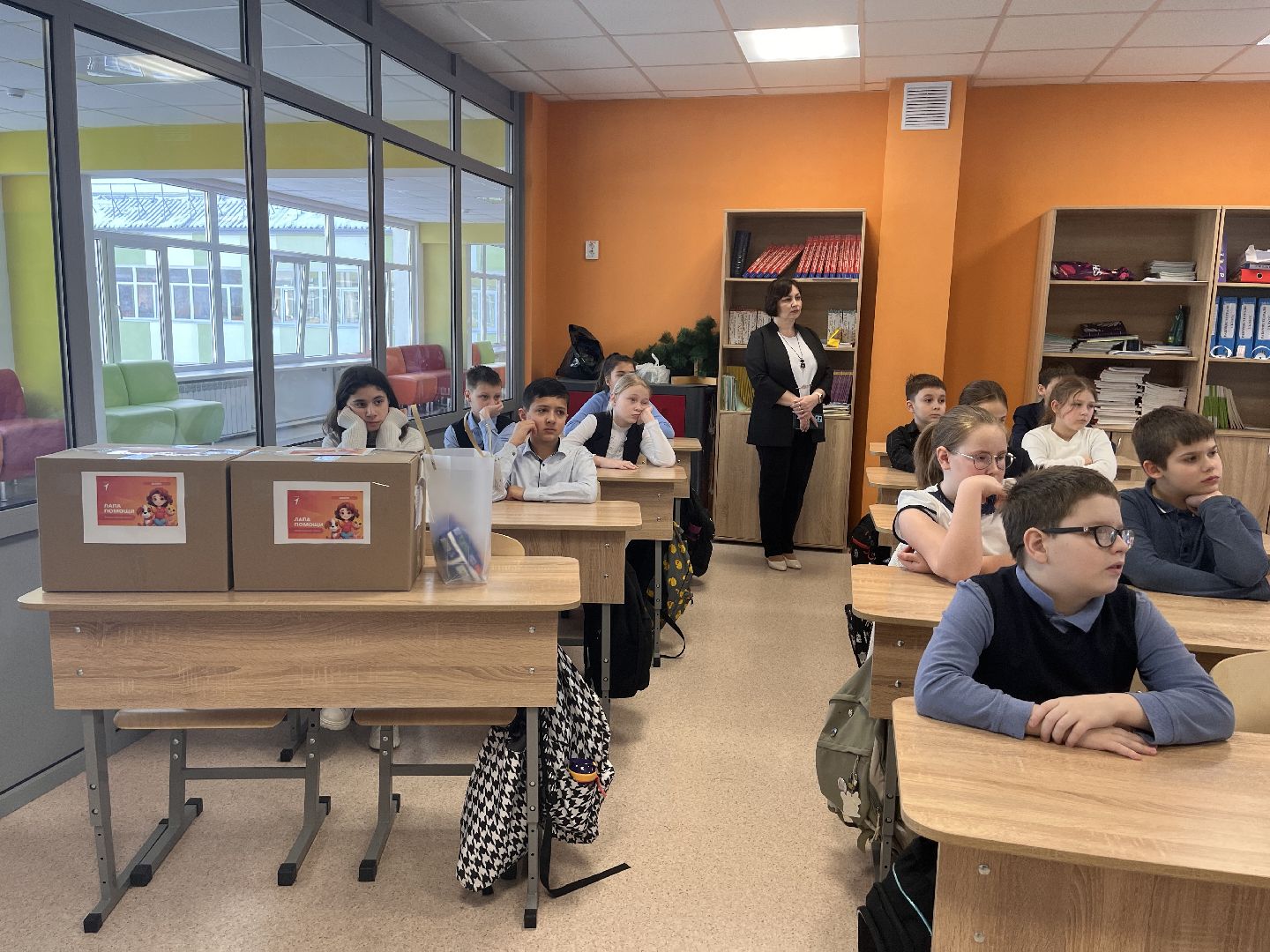 шаховская, приют, приют для животных, можайский приют,