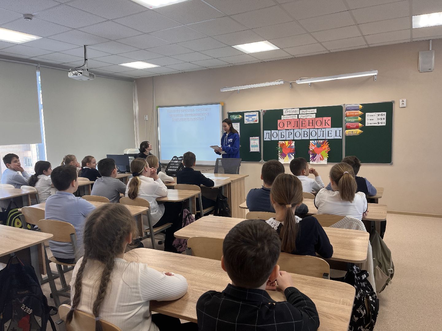 шаховская, приют, приют для животных, можайский приют,