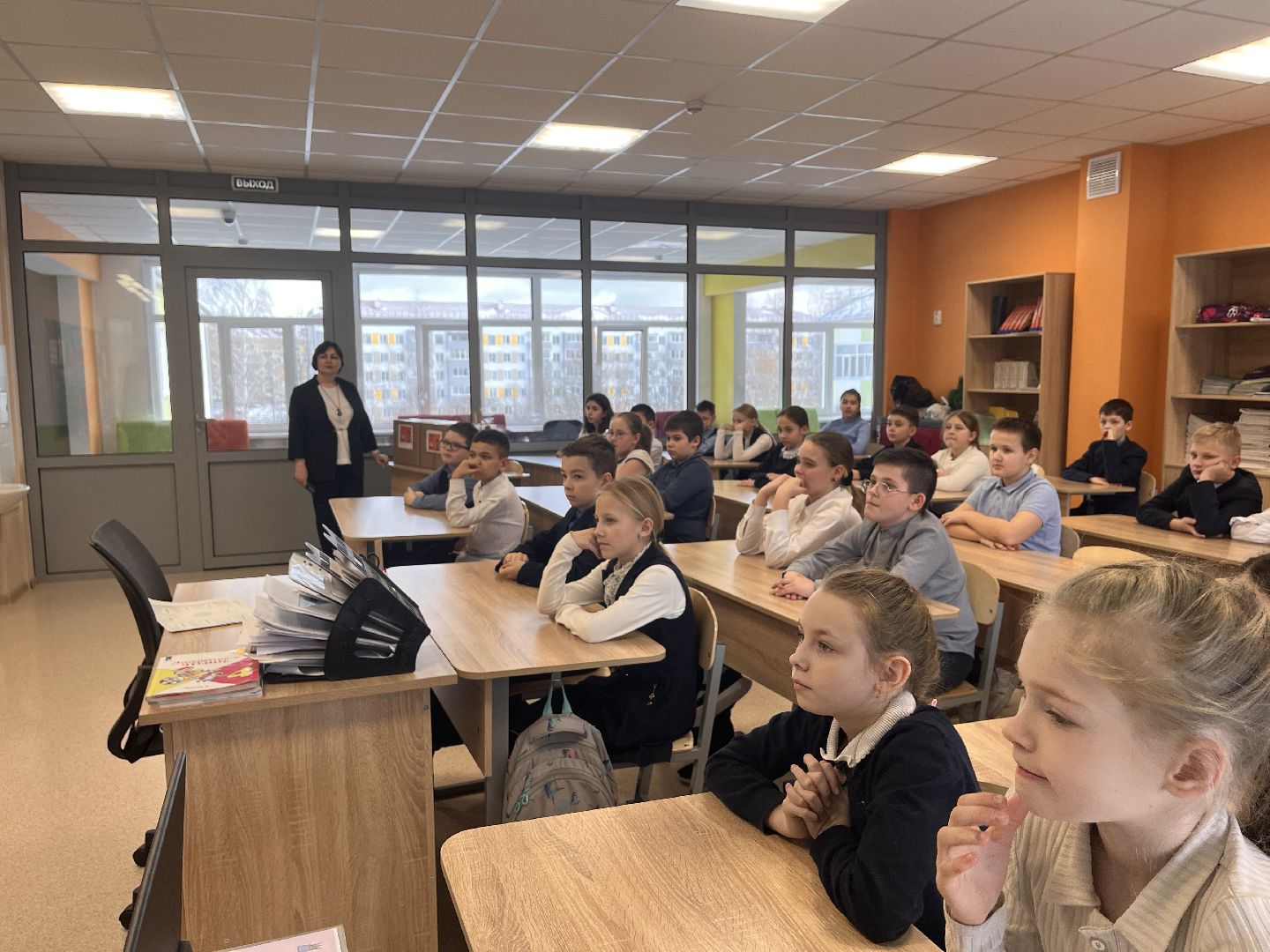 шаховская, приют, приют для животных, можайский приют,