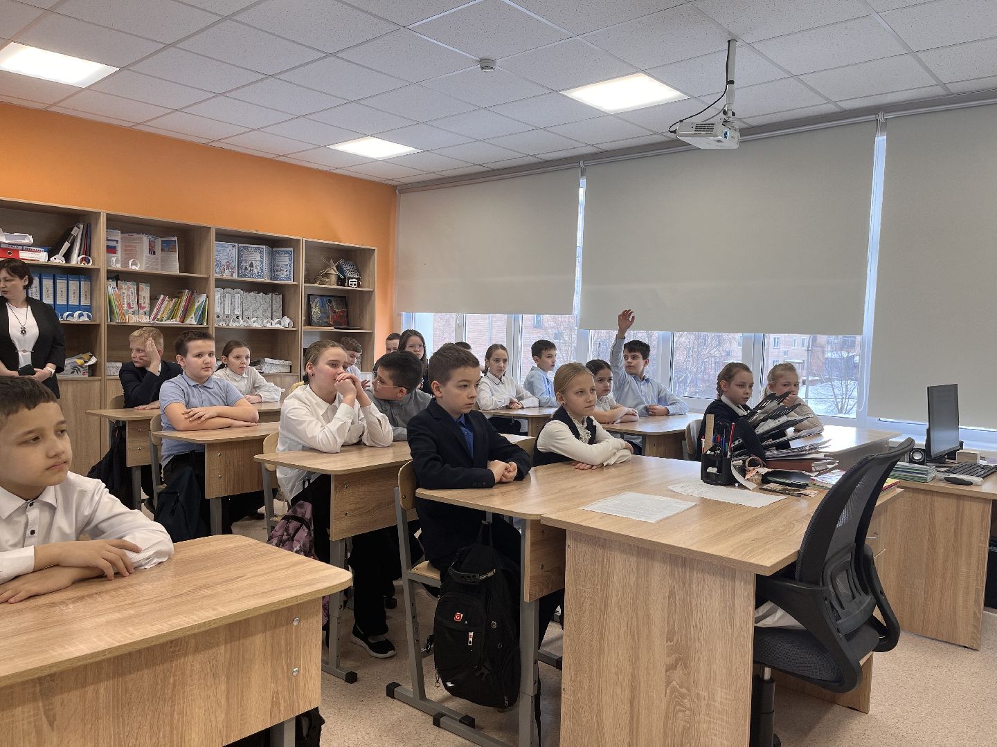 шаховская, приют, приют для животных, можайский приют,