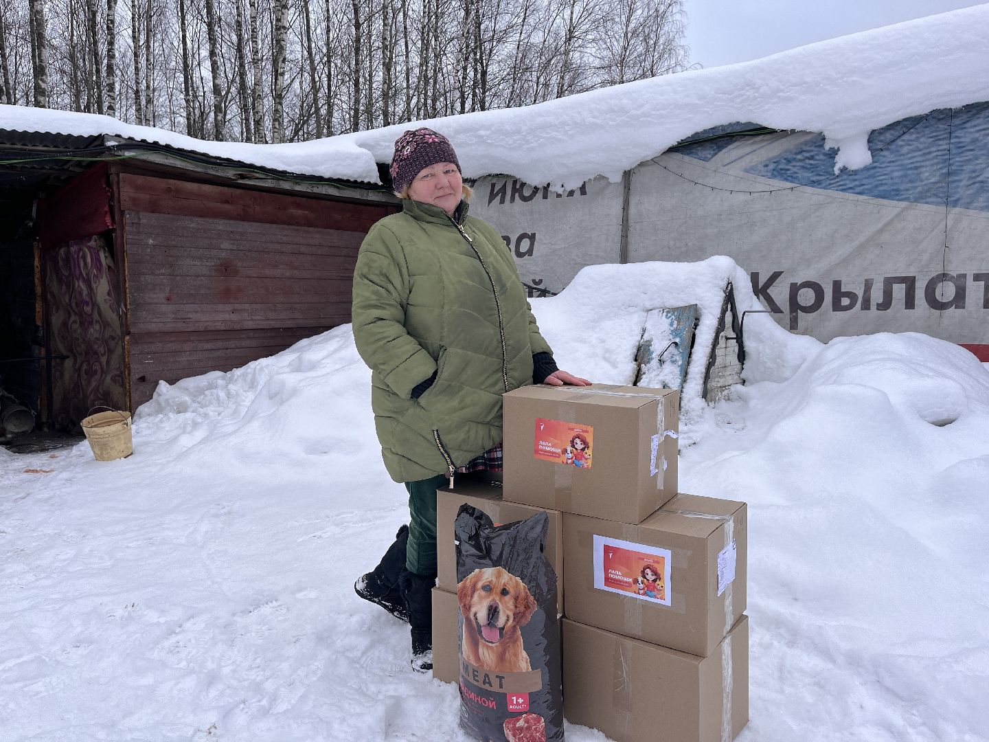 шаховская, приют, приют для животных, можайский приют,