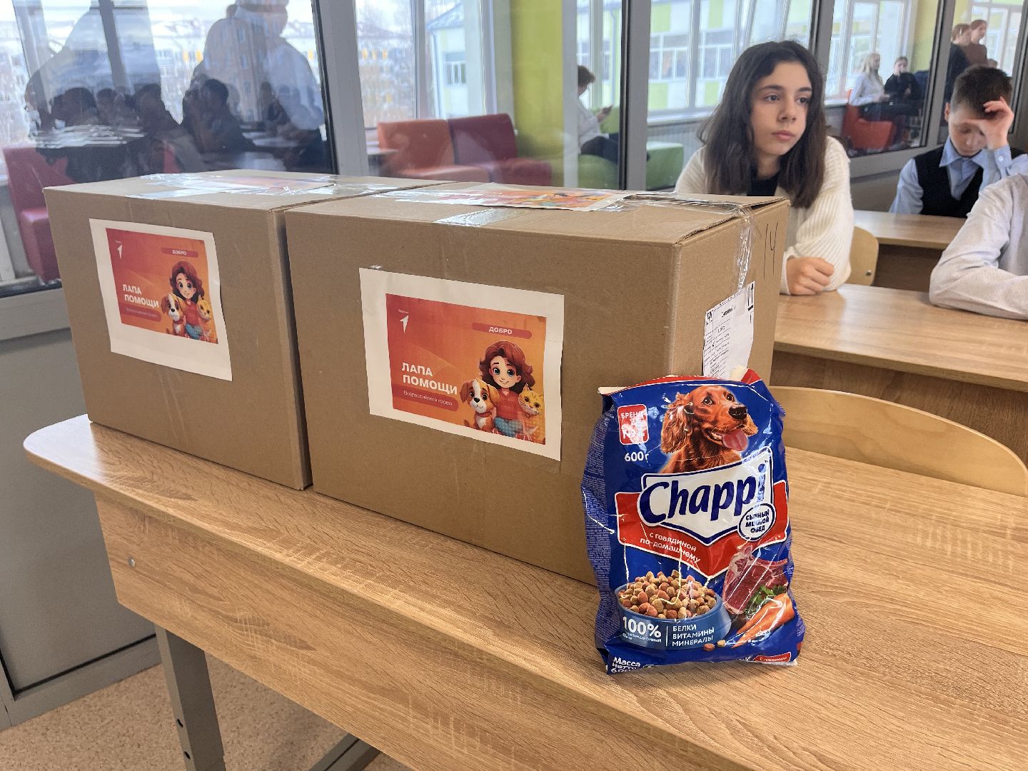 шаховская, приют, приют для животных, можайский приют,