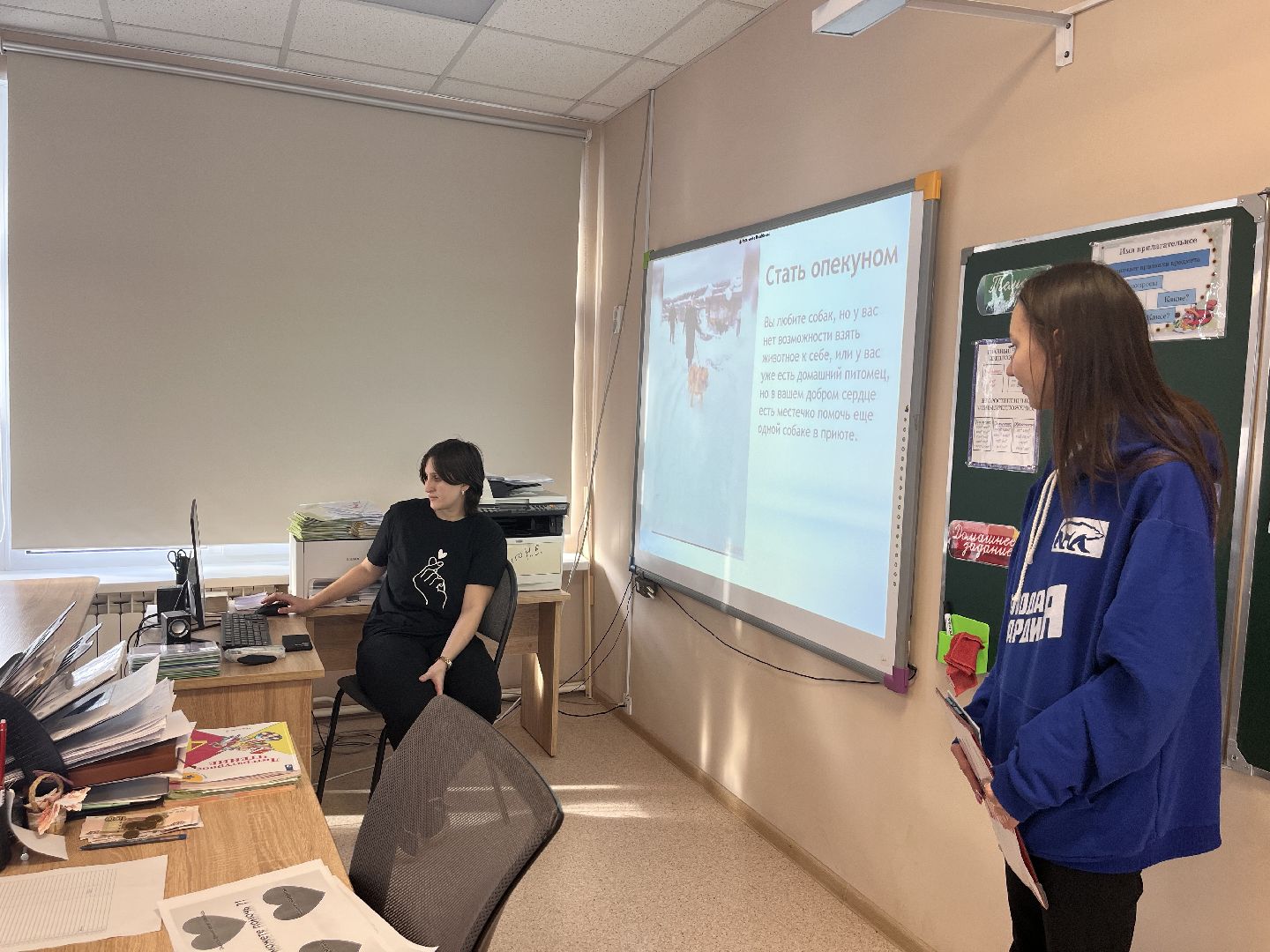 шаховская, приют, приют для животных, можайский приют,