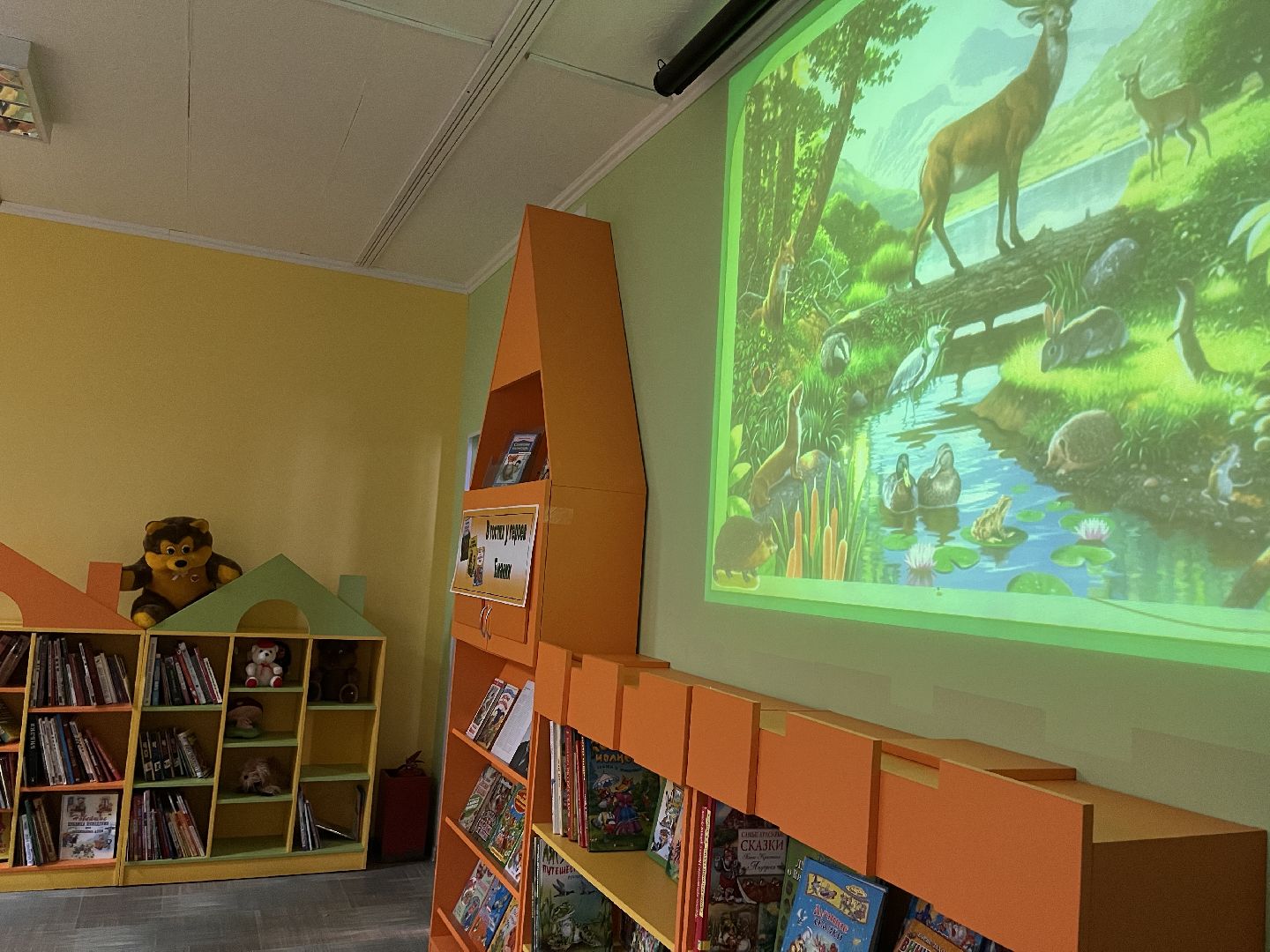 шаховская, библиотека, ученики,