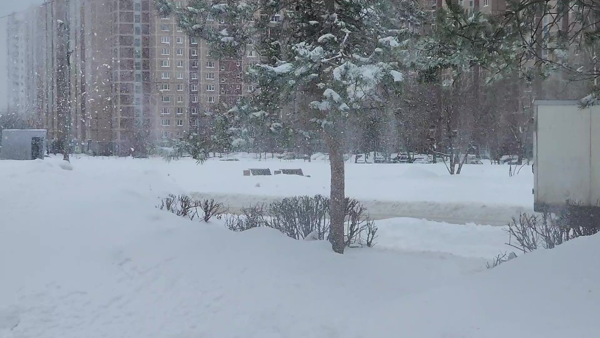 Реутов, ЖКХ, снегопад Ольга, борьба со снегом,