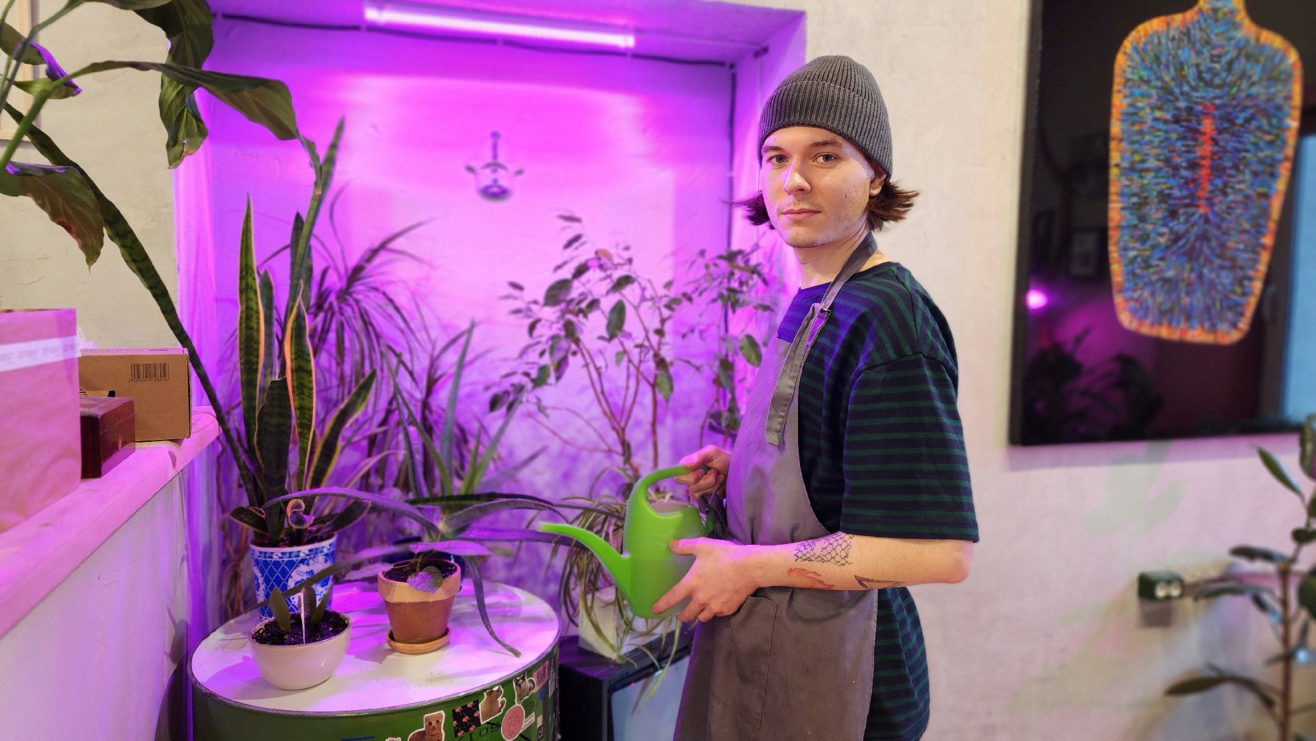 кафе, протвино, концептуальное кафе,