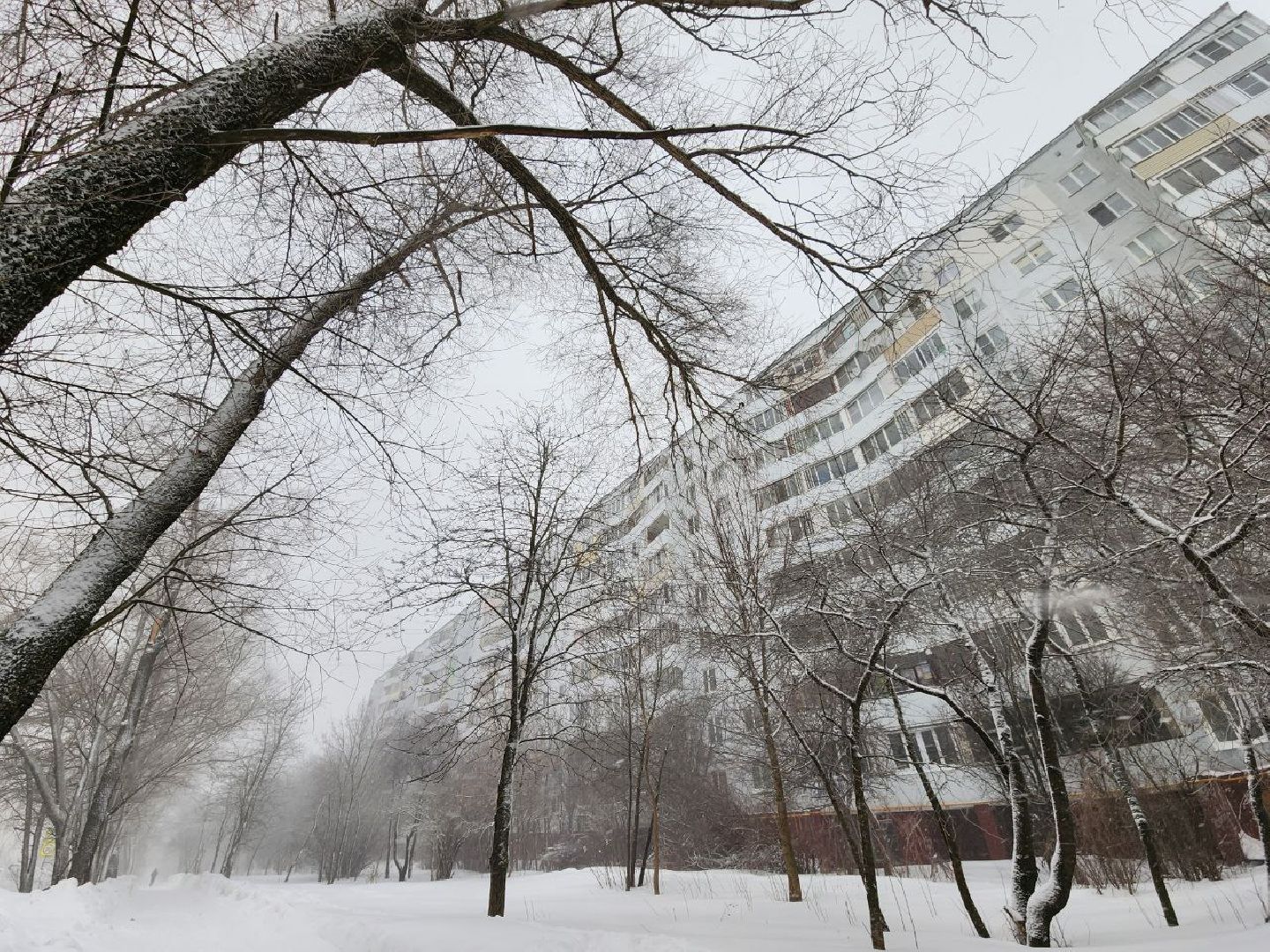 можайск, можайский городской округ, подмосковье, циклон, циклон ольга, люди, дороги, плохая видимость, погода,