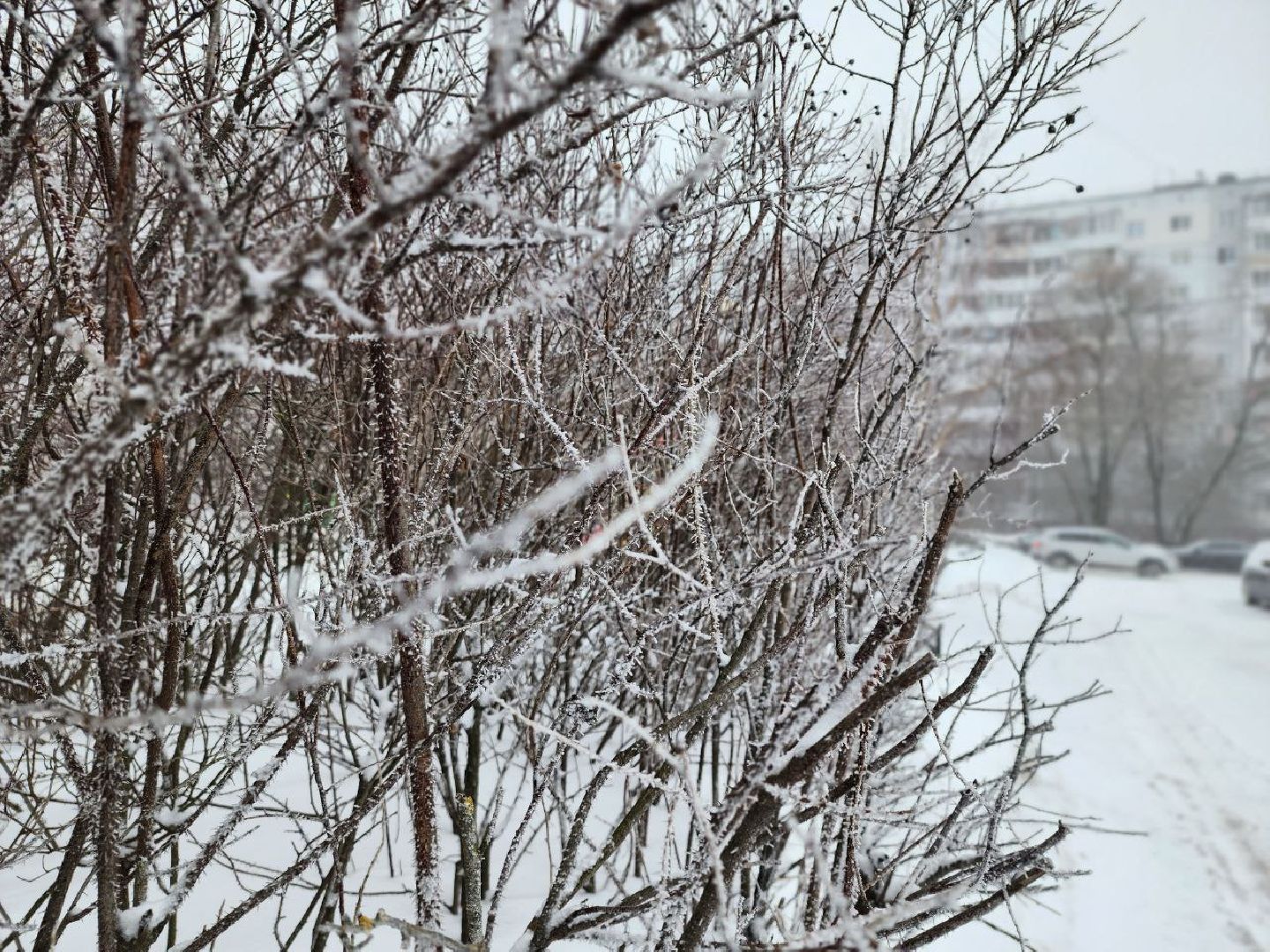 можайск, можайский городской округ, подмосковье, циклон, циклон ольга, люди, дороги, плохая видимость, погода,