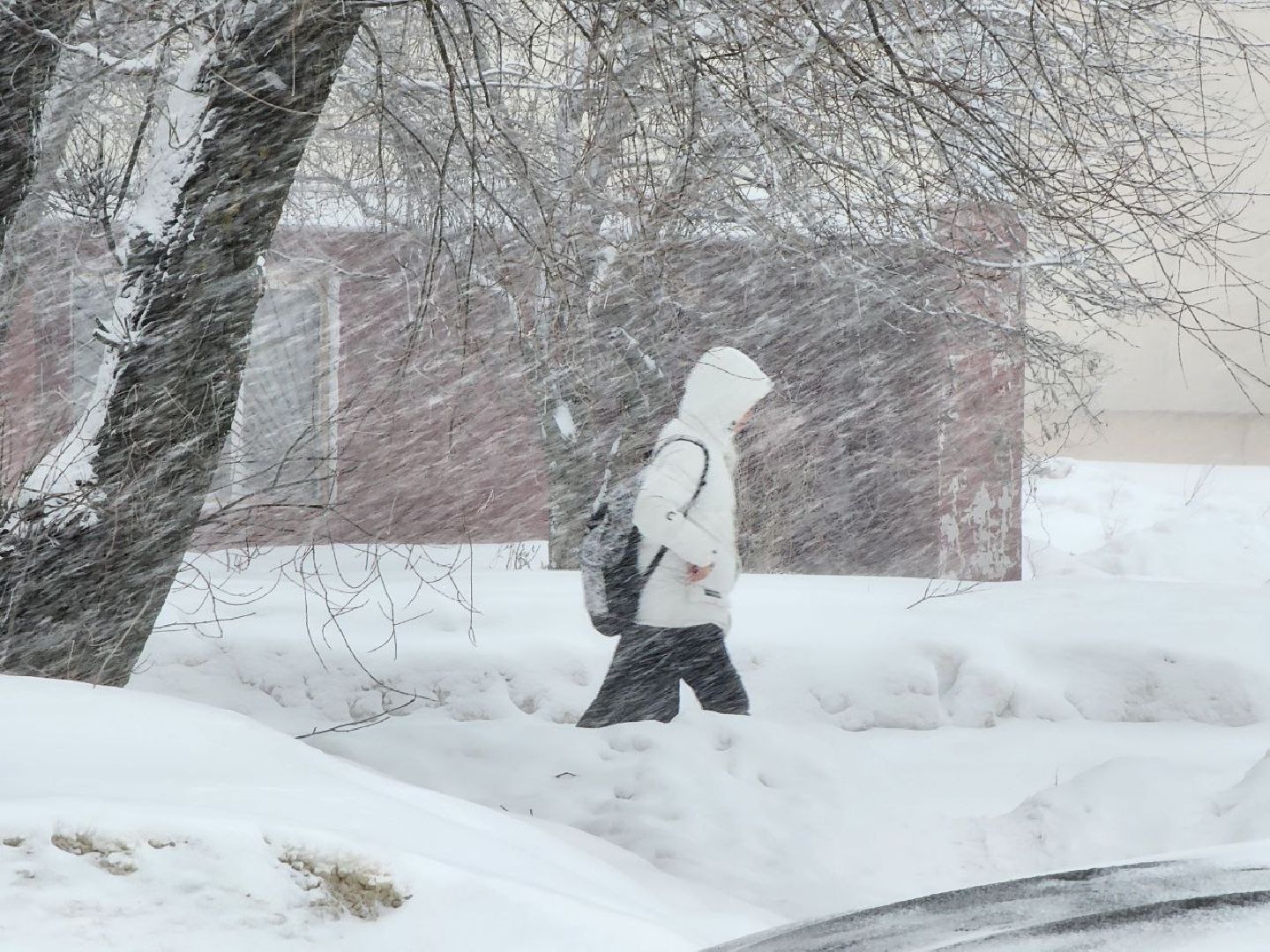 можайск, можайский городской округ, подмосковье, циклон, циклон ольга, люди, дороги, плохая видимость, погода,