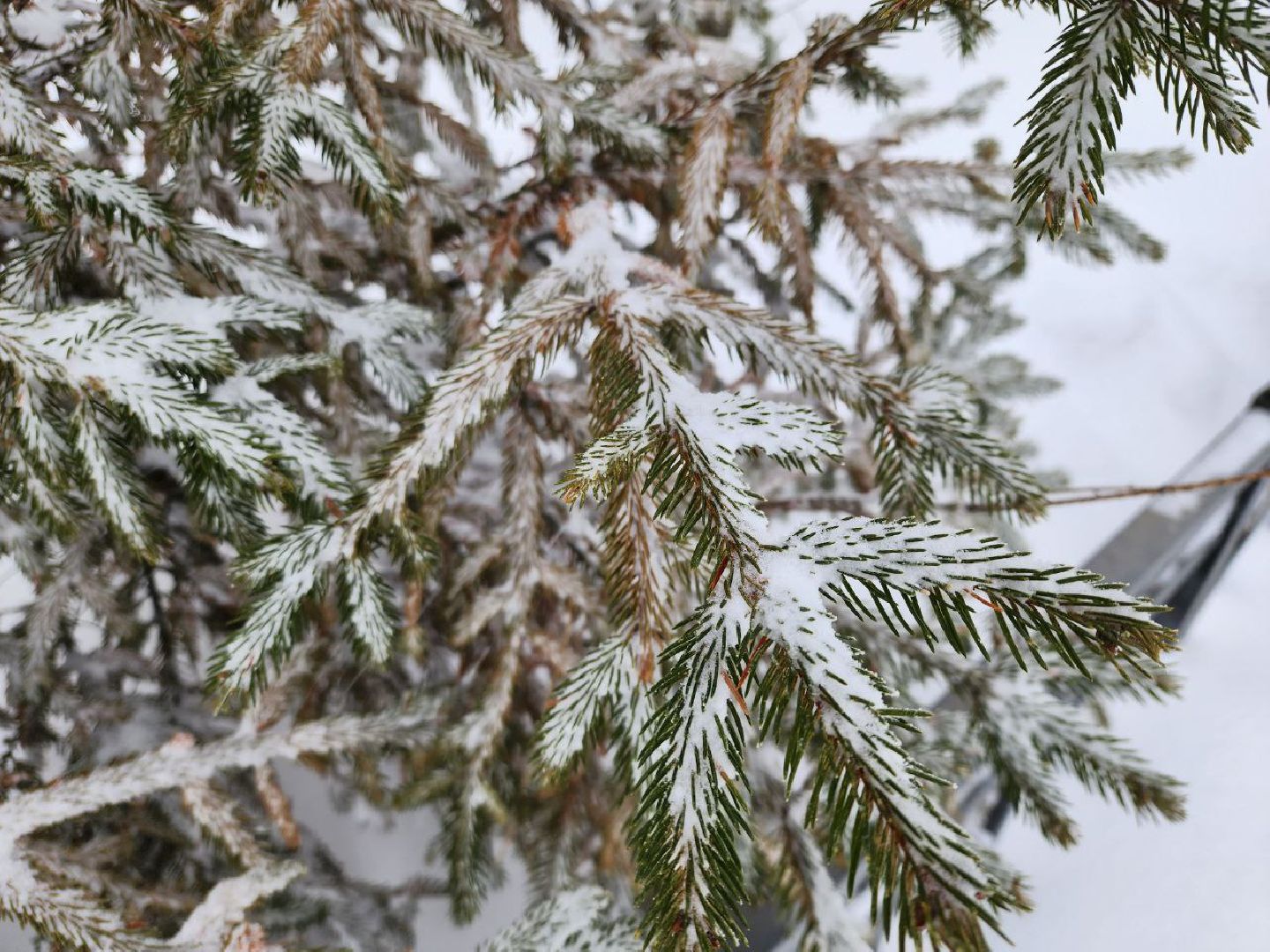 можайск, можайский городской округ, подмосковье, циклон, циклон ольга, люди, дороги, плохая видимость, погода,