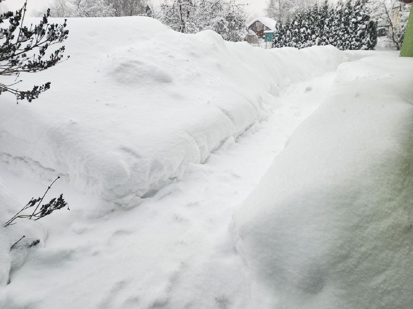 Солнечногорск, Снег, Уборка, Дети, Снегопад,