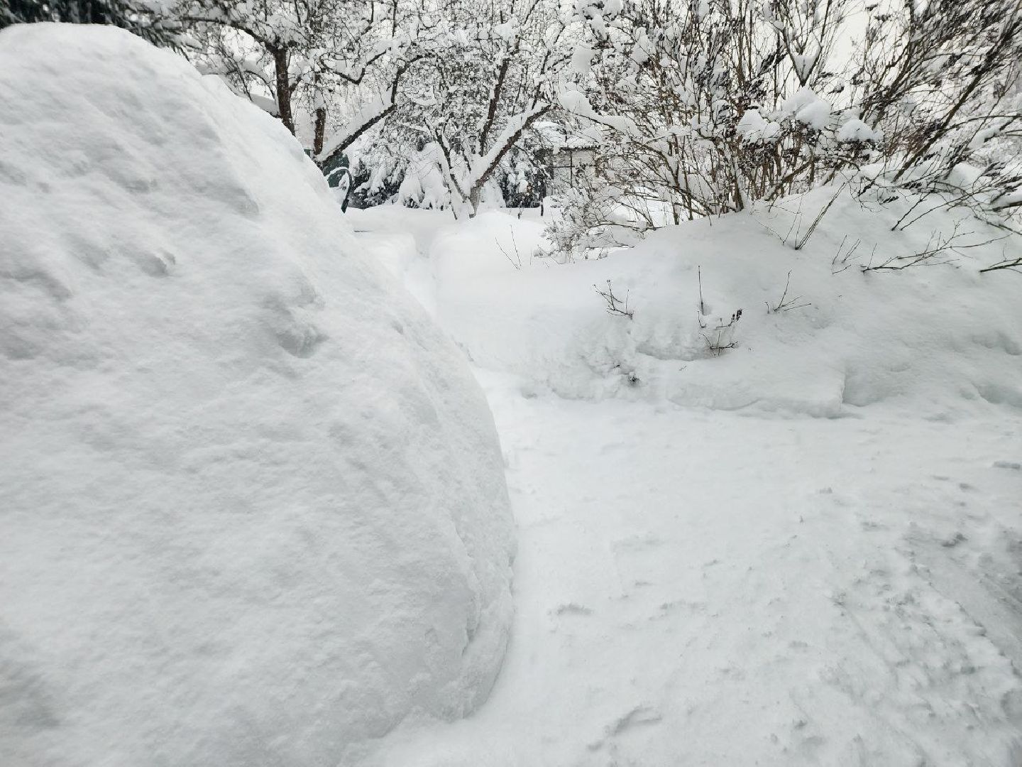 Солнечногорск, Снег, Уборка, Дети, Снегопад,
