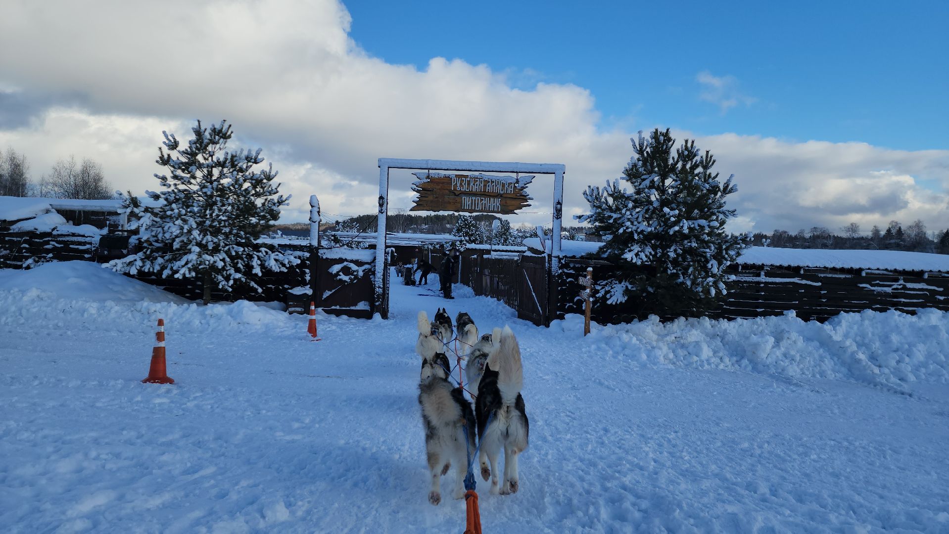 туризм, зима в подмосковье, туризм в подмосковье, руза, рузский городской округ, хаски, Рузская аляска,