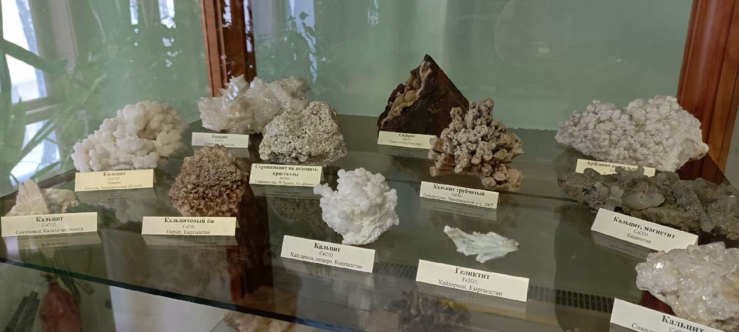 Дмитров, Петр Кропоткин, Краевед Алексей Поливанов,