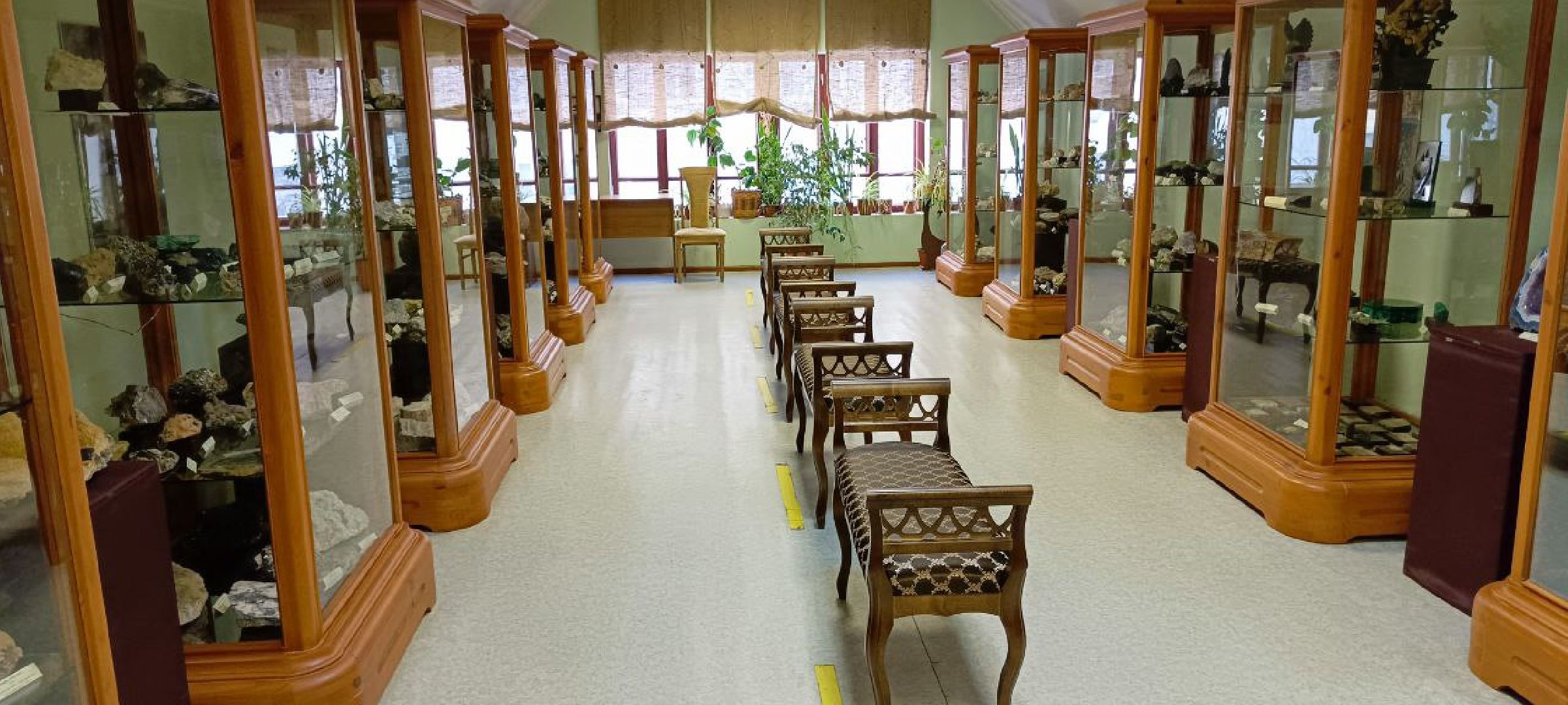 Дмитров, Петр Кропоткин, Краевед Алексей Поливанов,