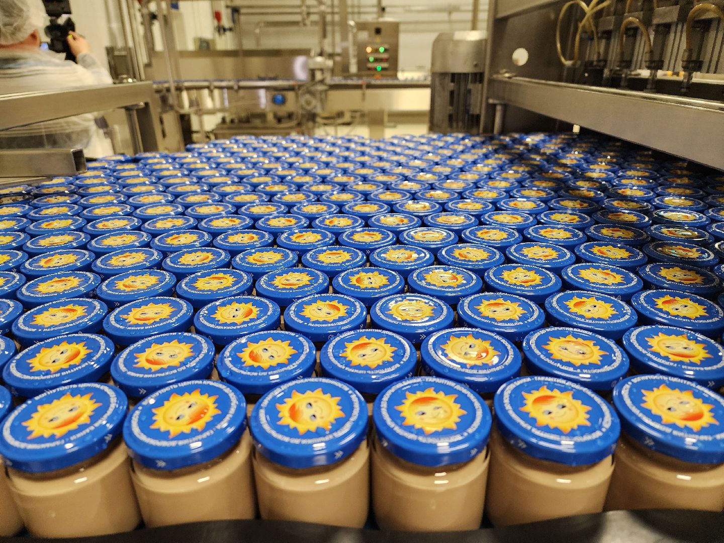 воскресенск, экономика, детское питание, бизнес,