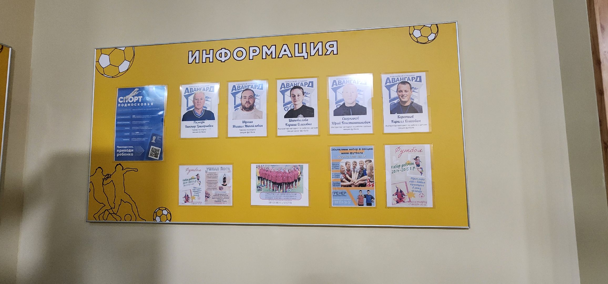 футбол, новый манеж, Минспорт, Домодедово,